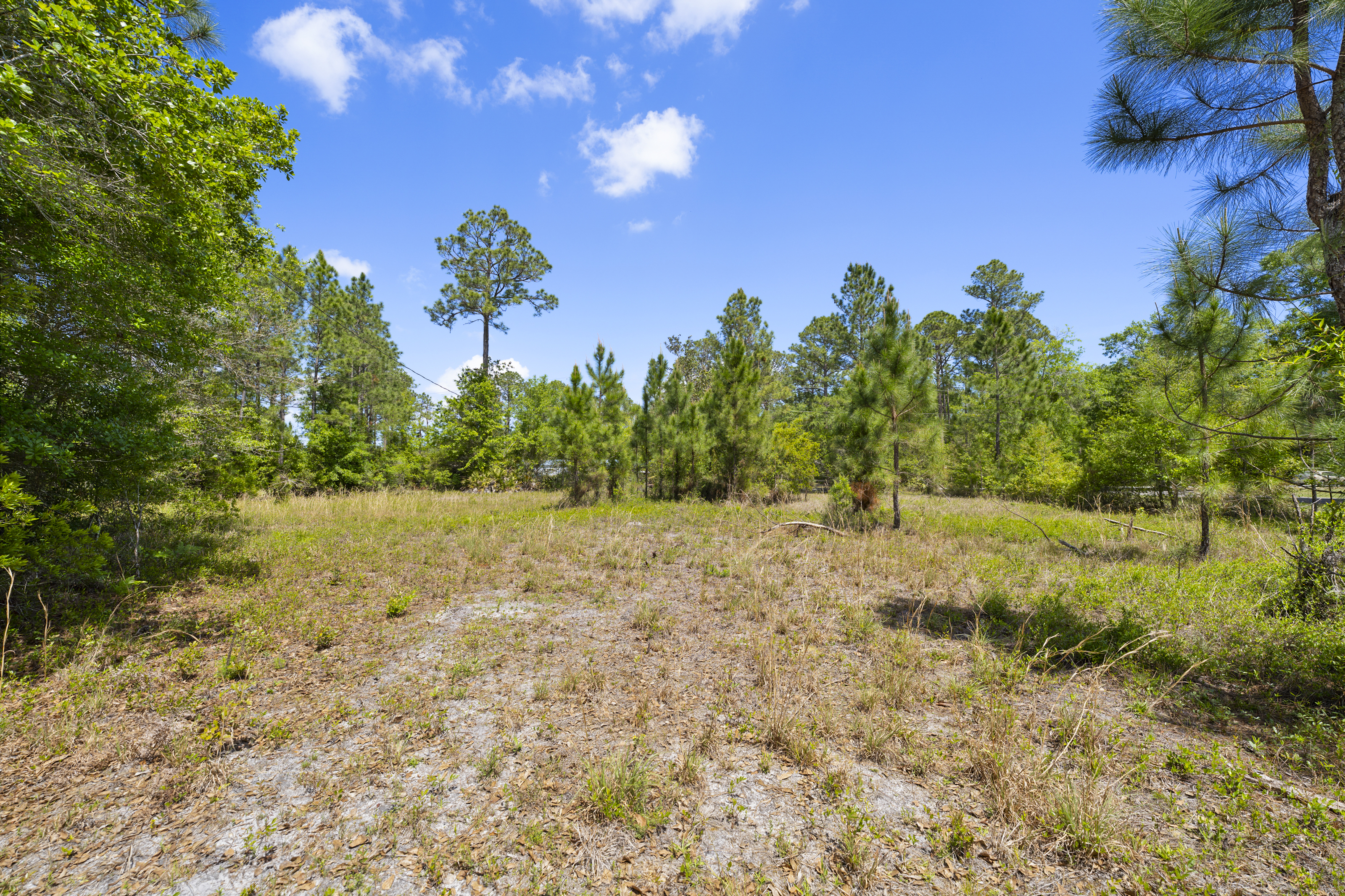 5371 Church Road St. Augustine FL 32092