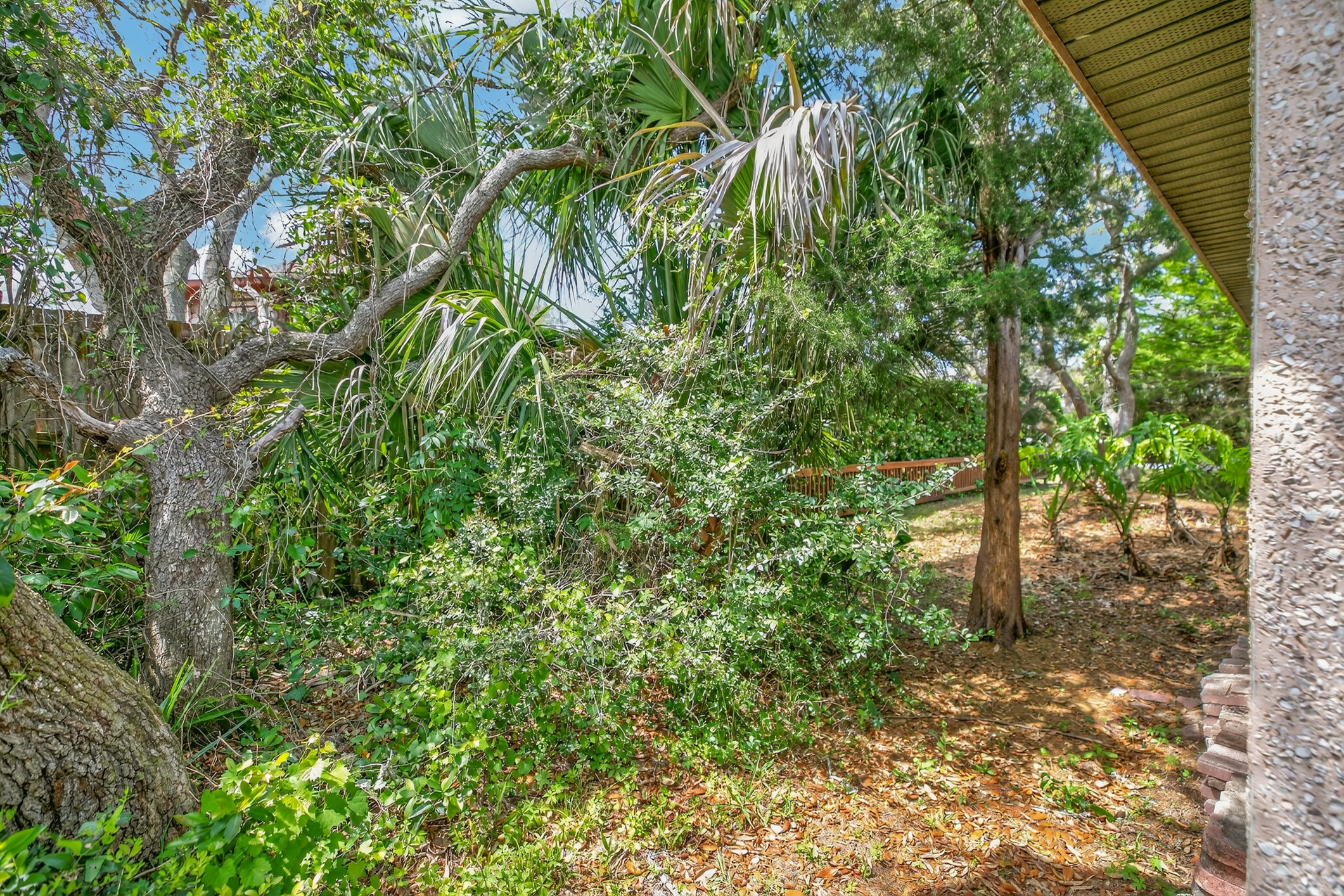 355 Biscayne Avenue St Augustine FL 32080