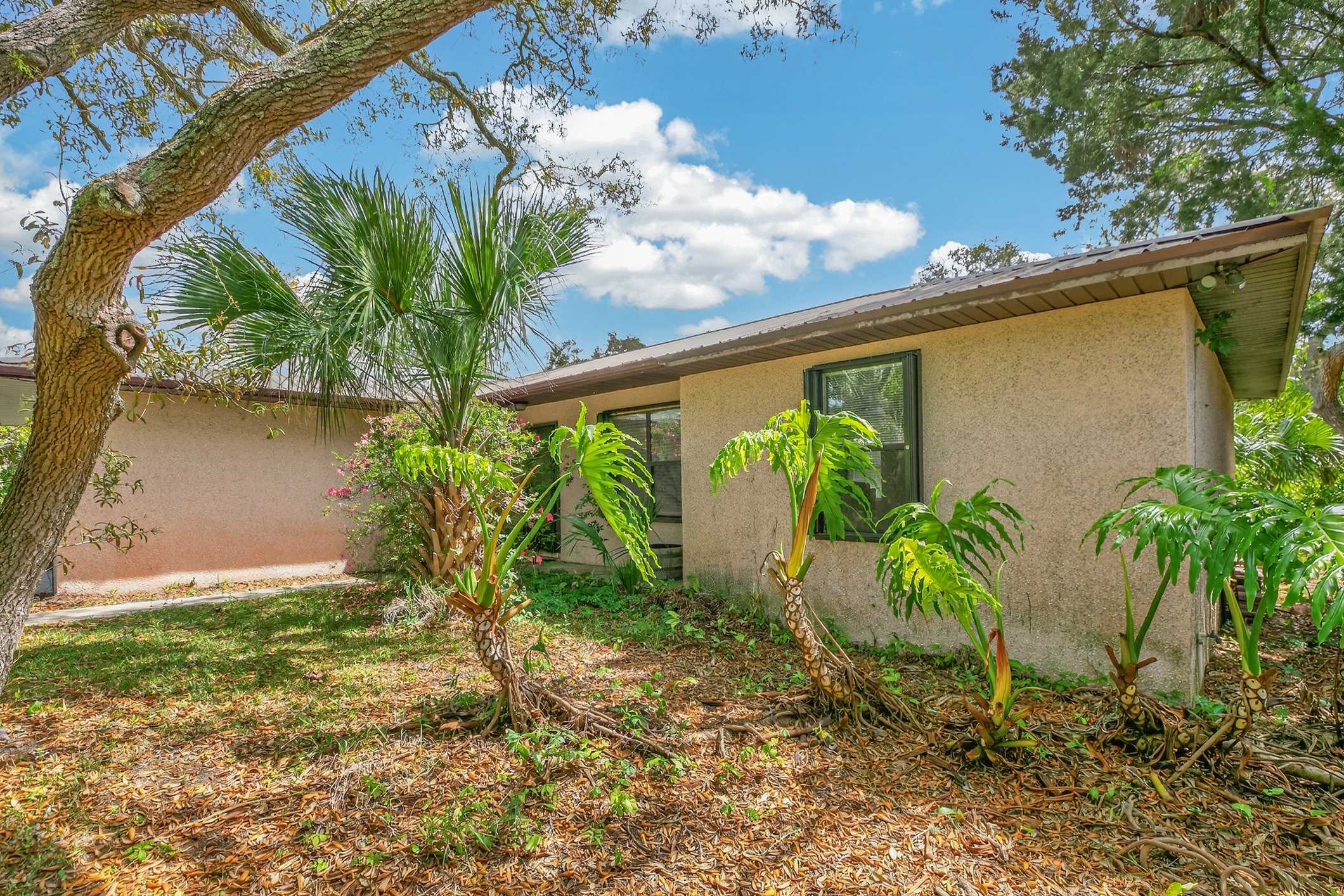 355 Biscayne Avenue St Augustine FL 32080