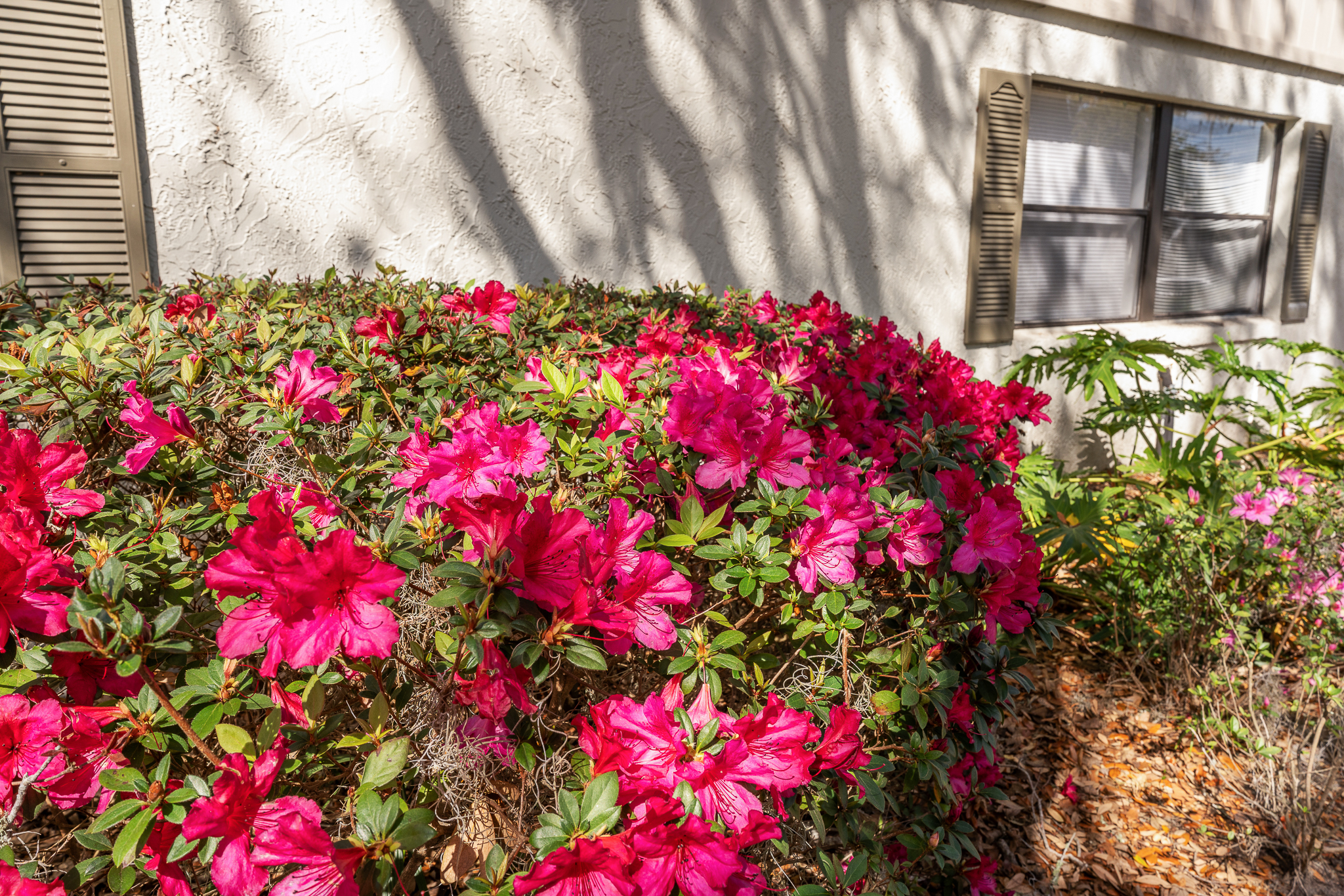 5 Andalusia Court St Augustine FL 32086