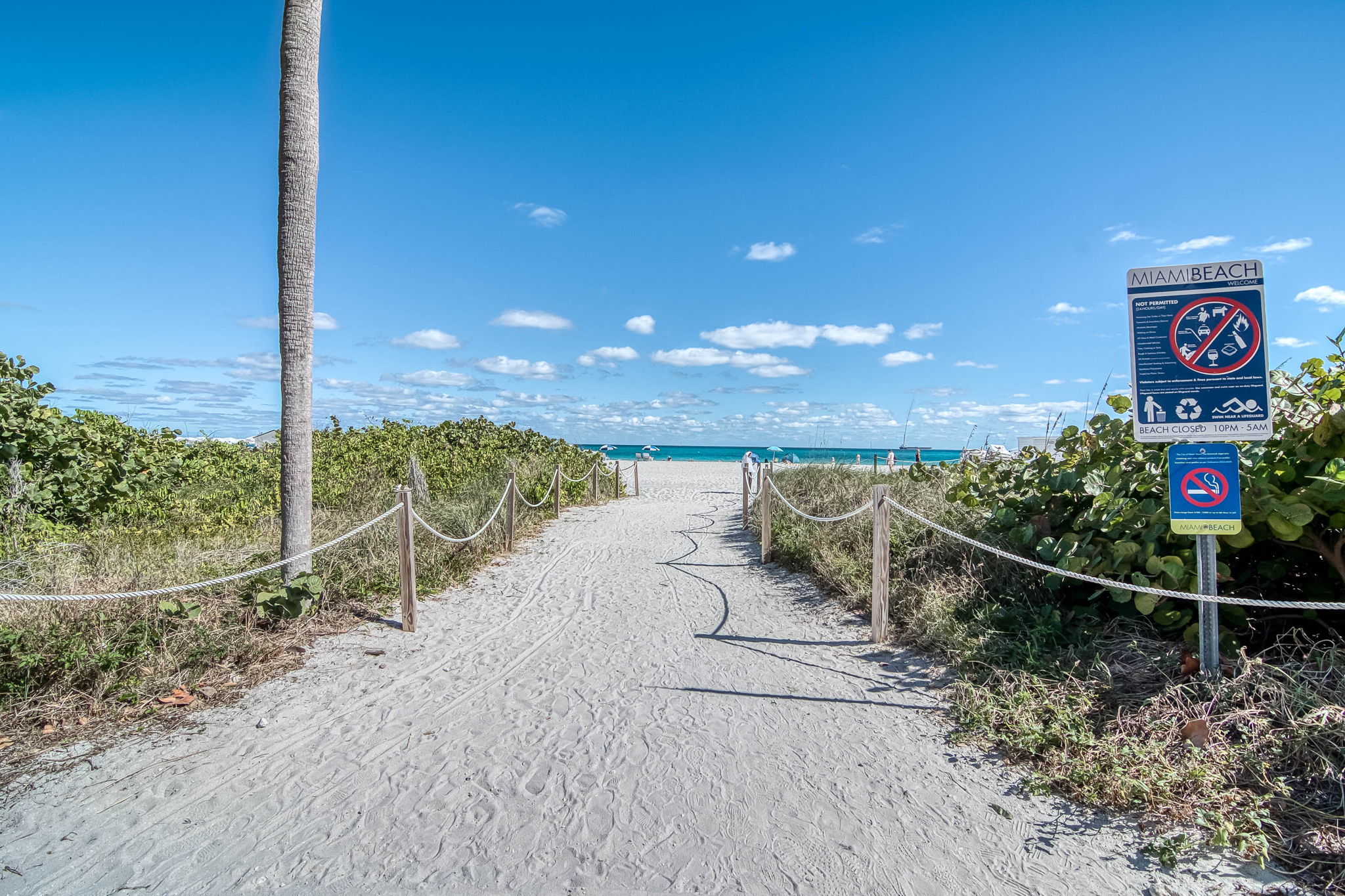 3737 Collins Avenue Miami Beach FL 33140
