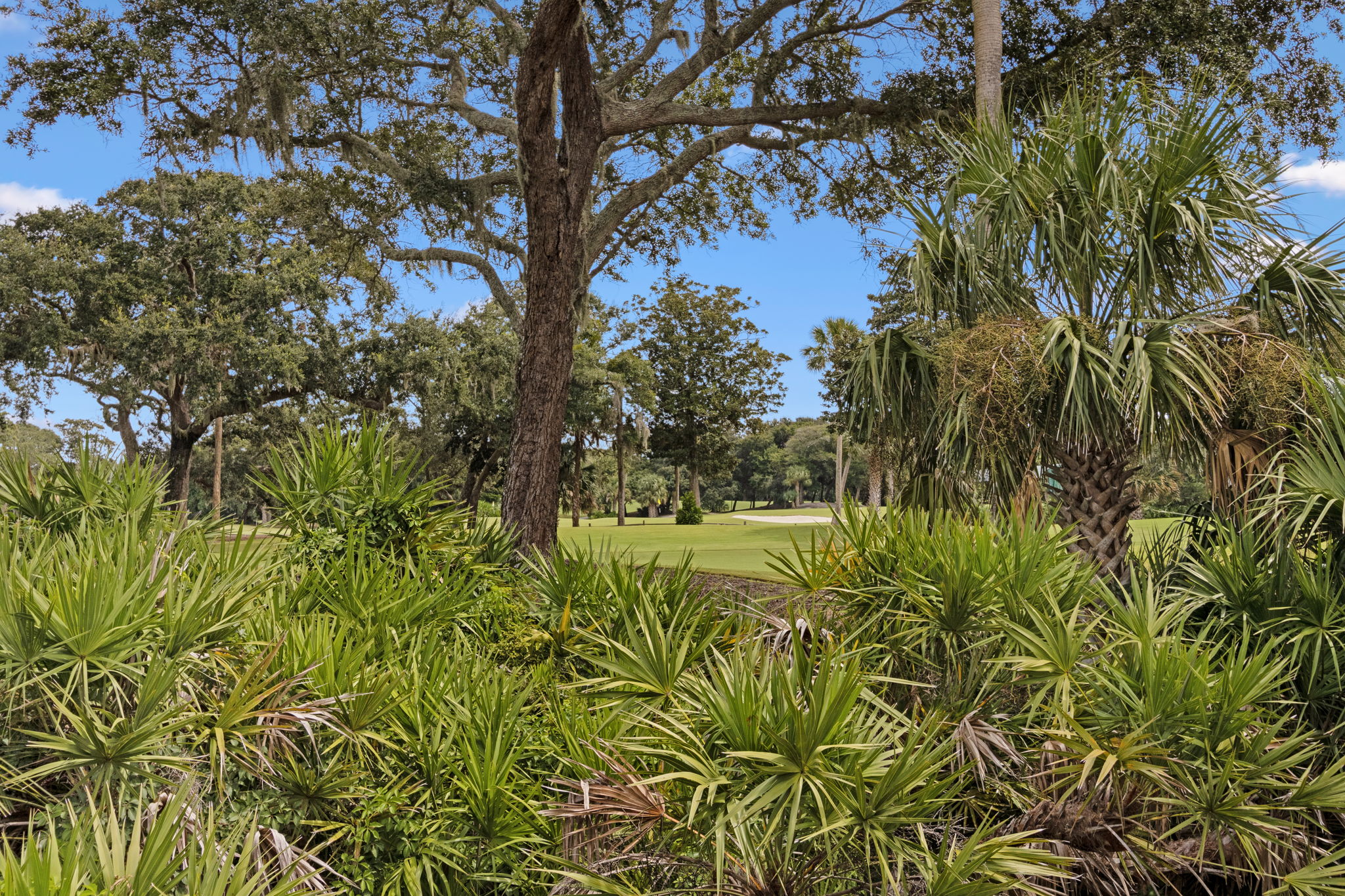 34 Long Point Drive Fernandina Beach FL 32034