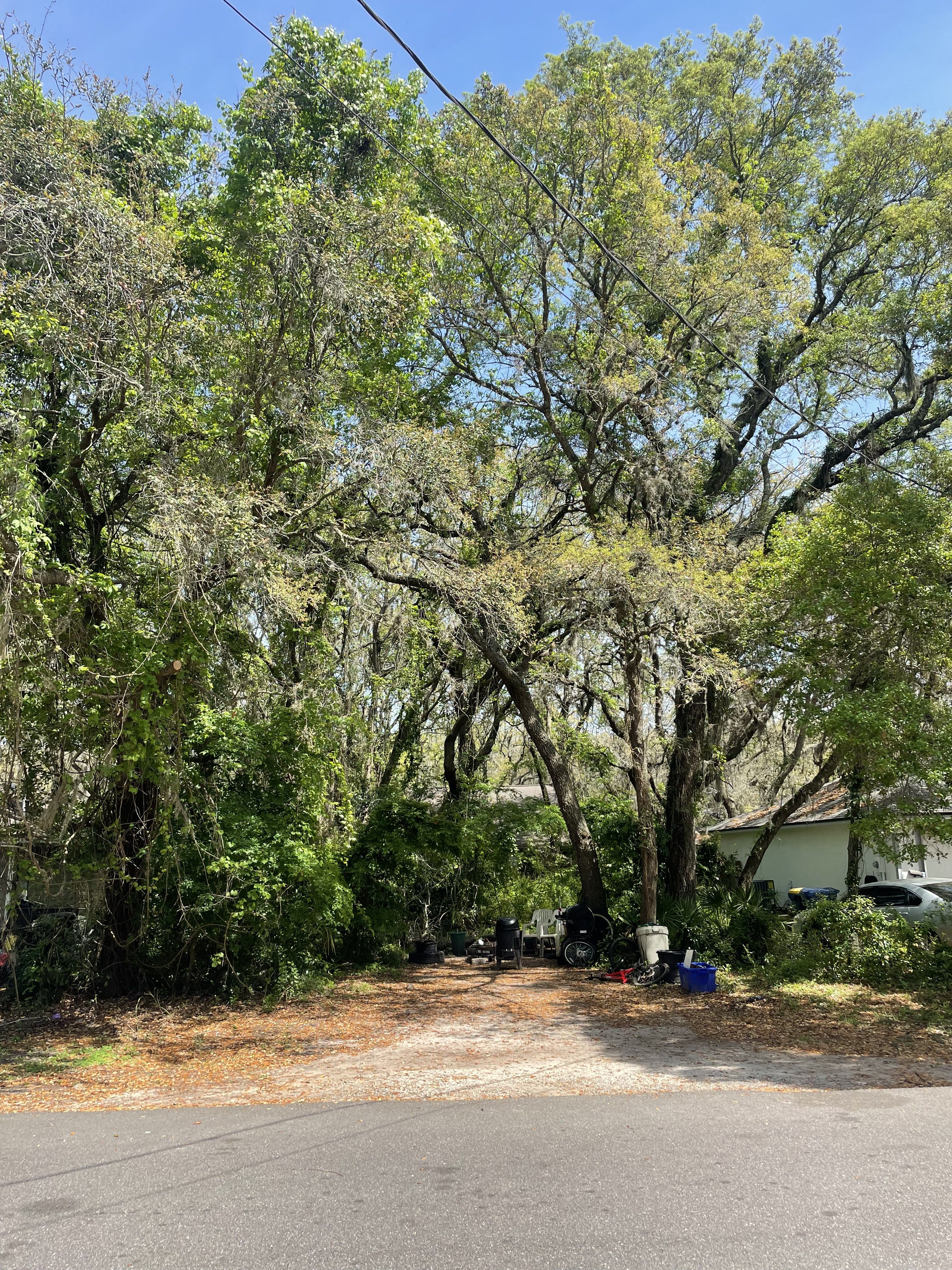 S 13th Terrace Fernandina Beach FL 32034