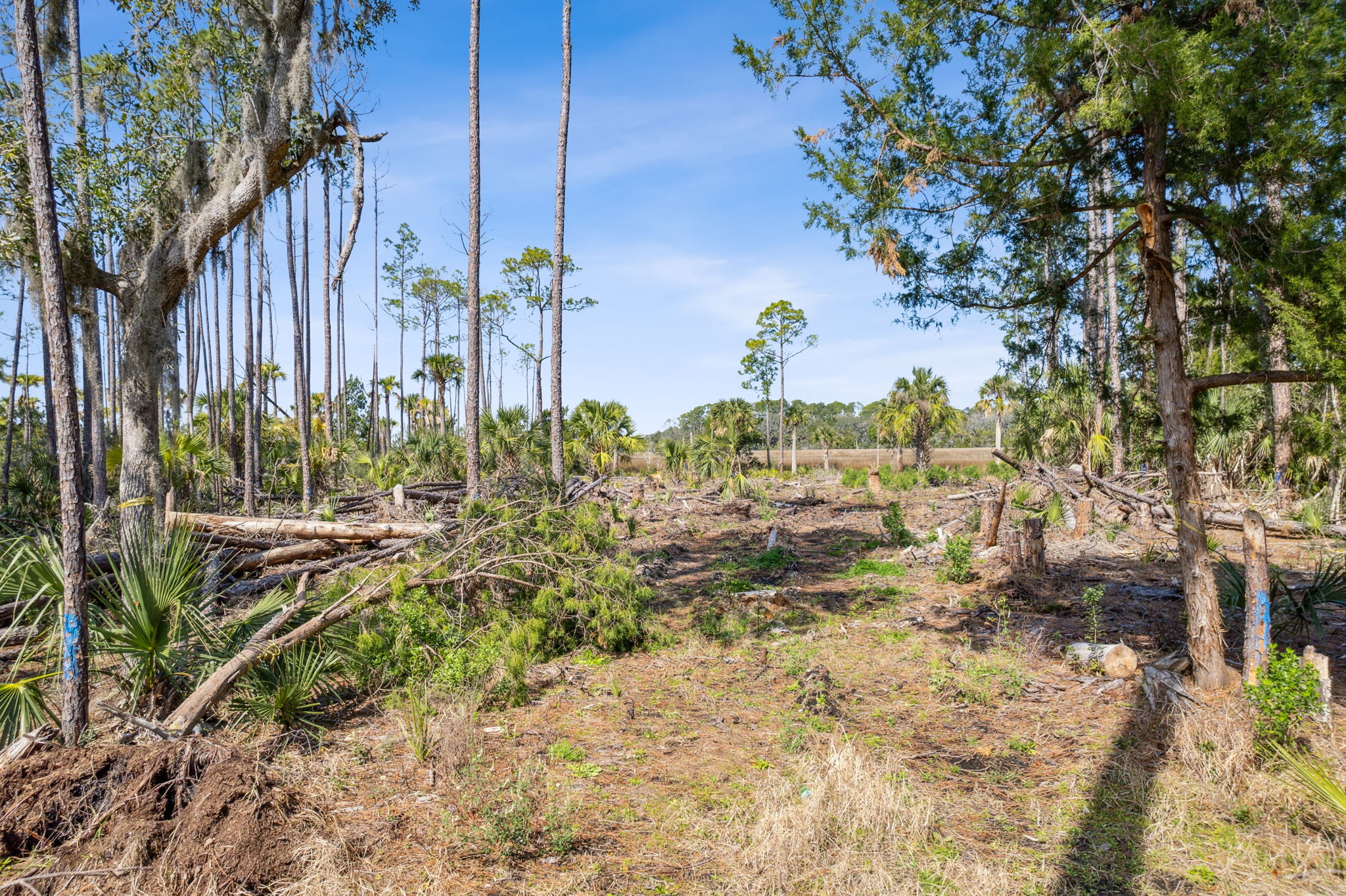 94201 Palm Circle Fernandina Beach FL 32034