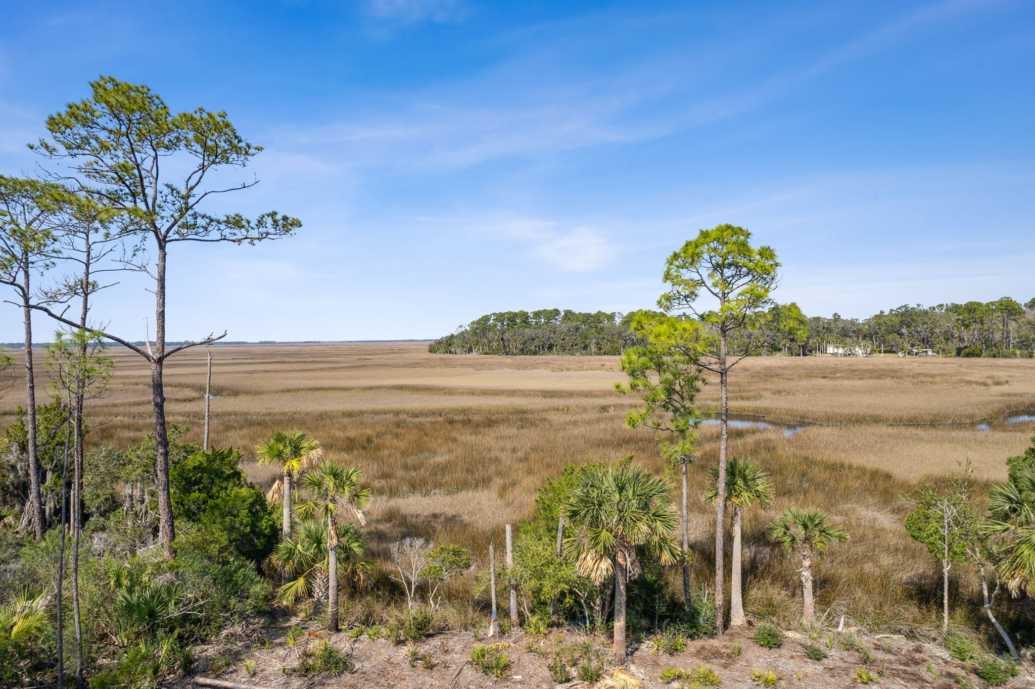 94201 Palm Circle Fernandina Beach FL 32034