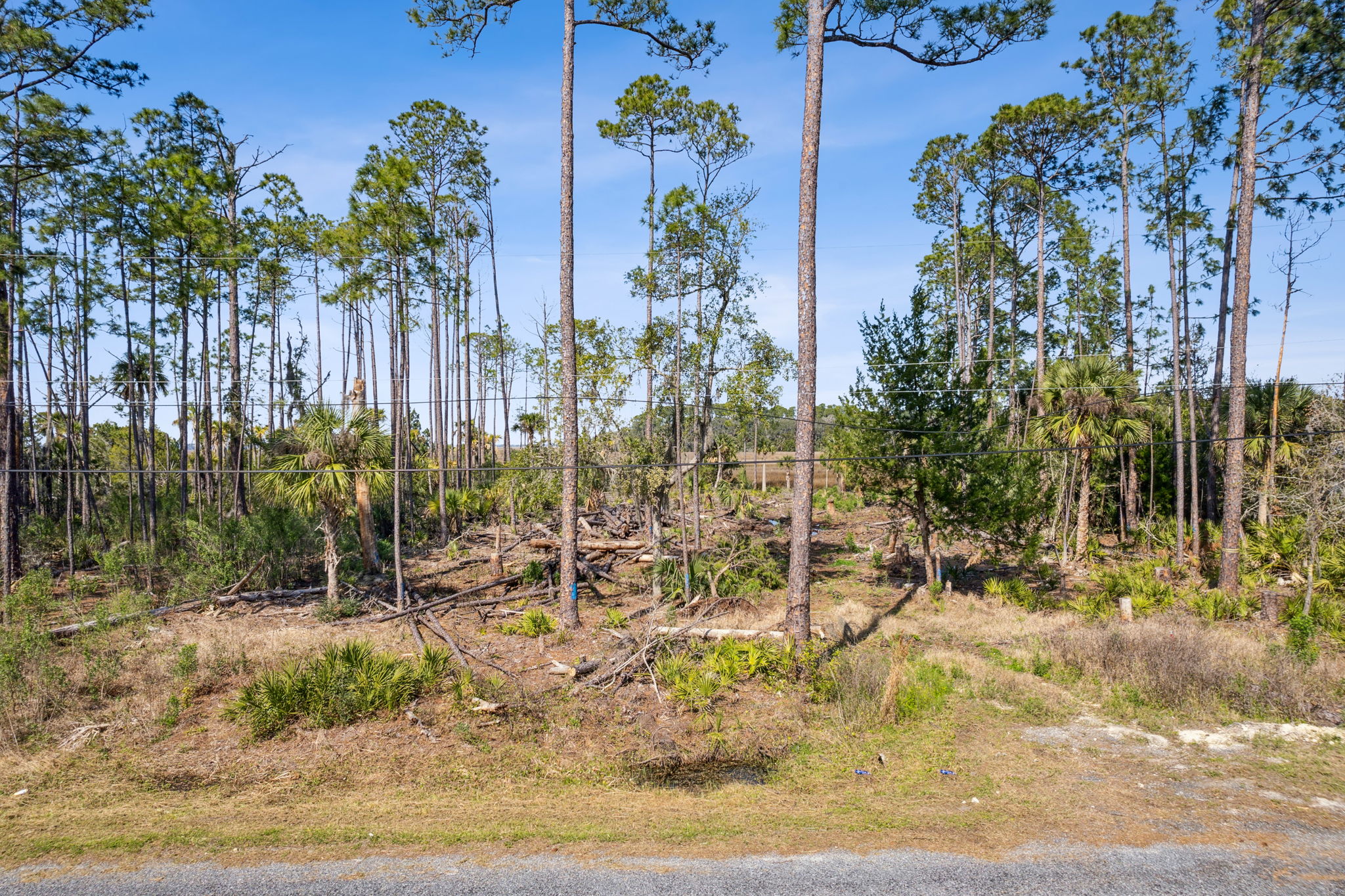 94201 Palm Circle Fernandina Beach FL 32034