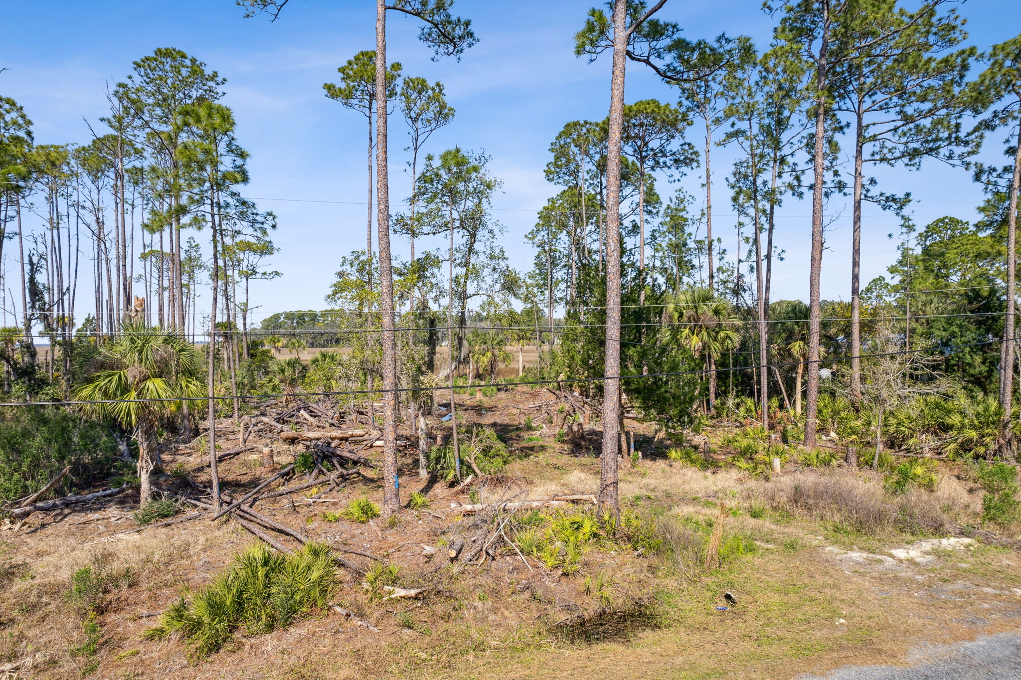 94201 Palm Circle Fernandina Beach FL 32034