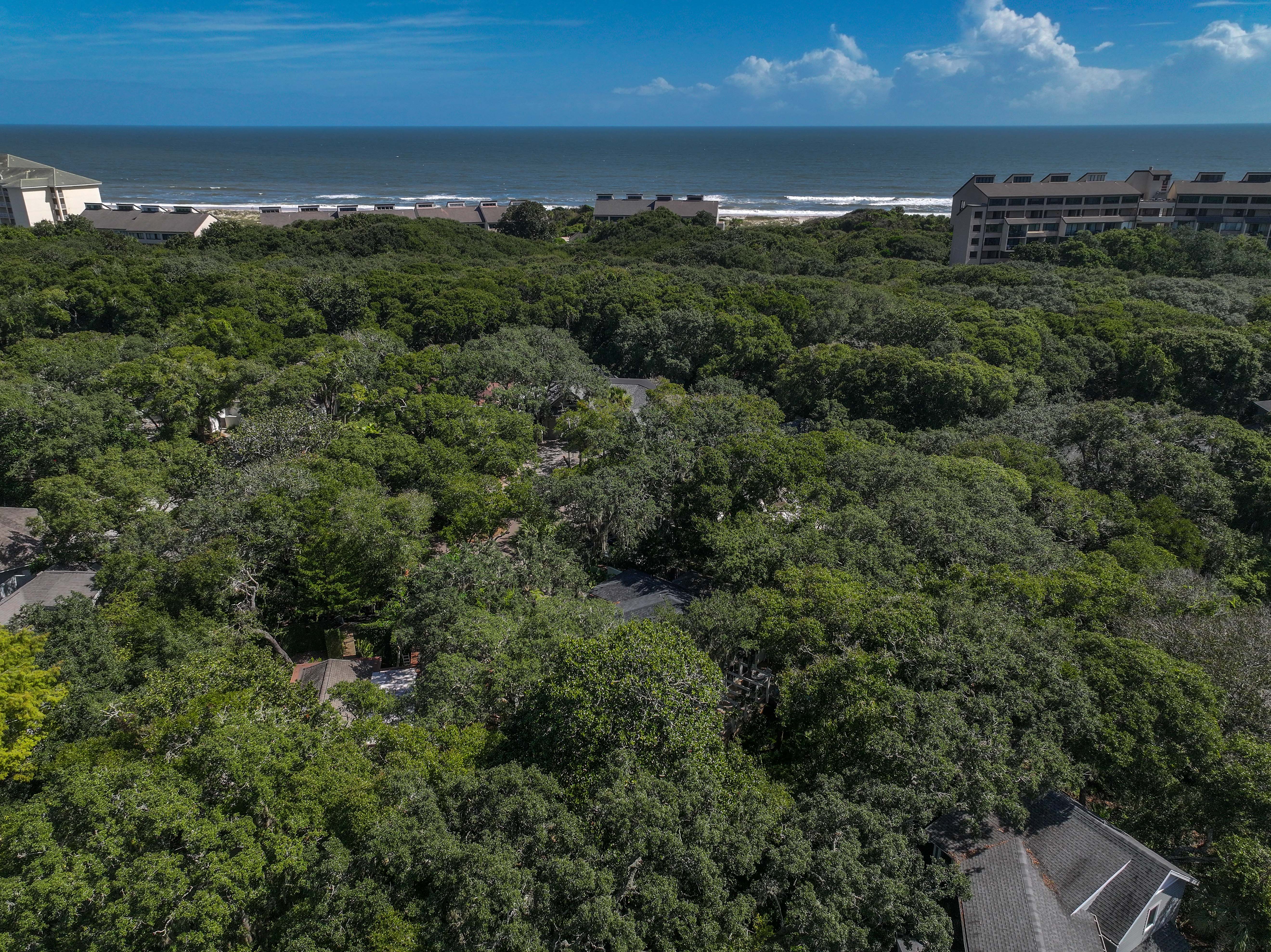 10 Green Winged Teal Road Fernandina Beach FL 32034