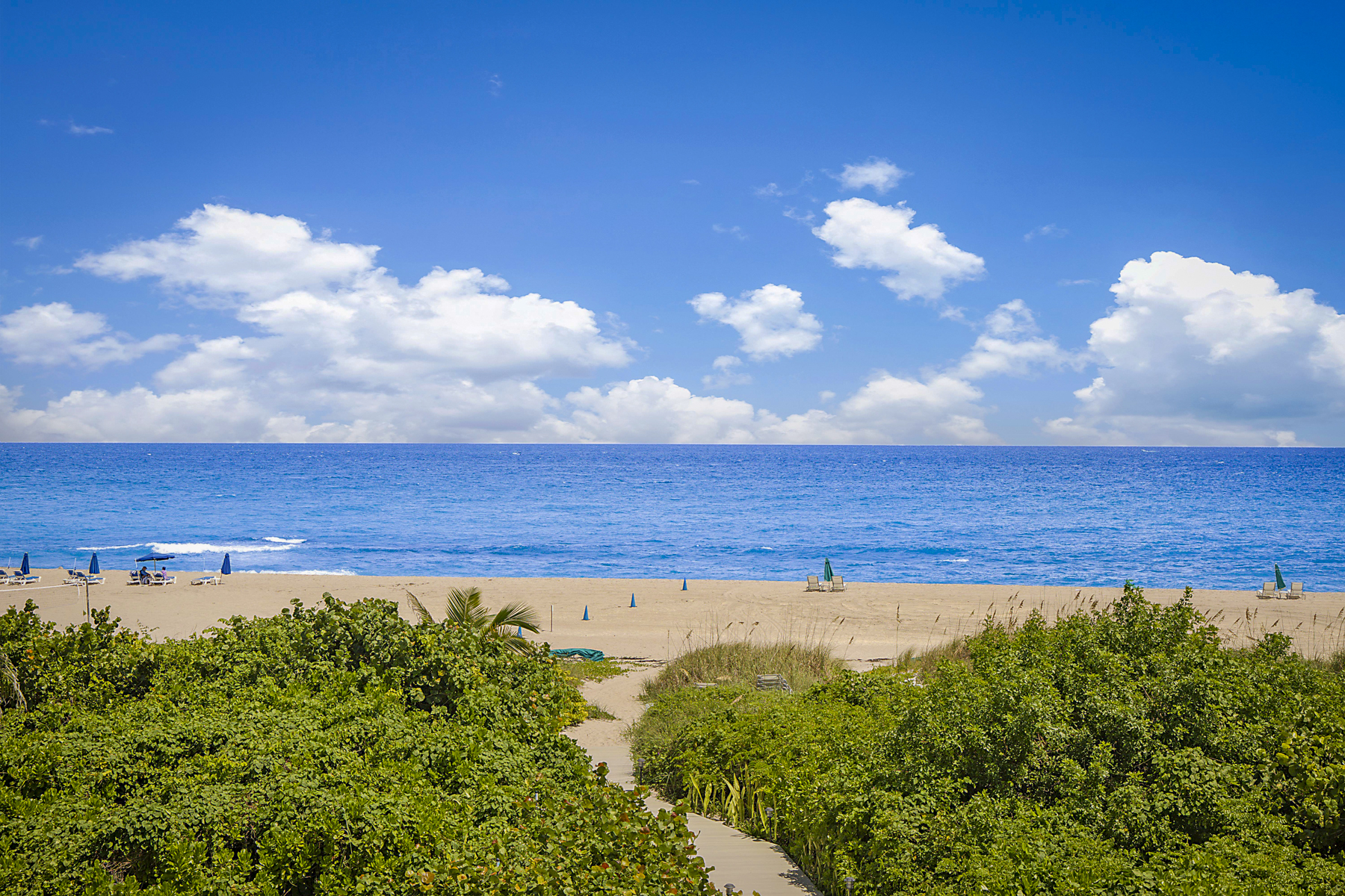 3730 N Ocean Drive Singer Island FL 33404