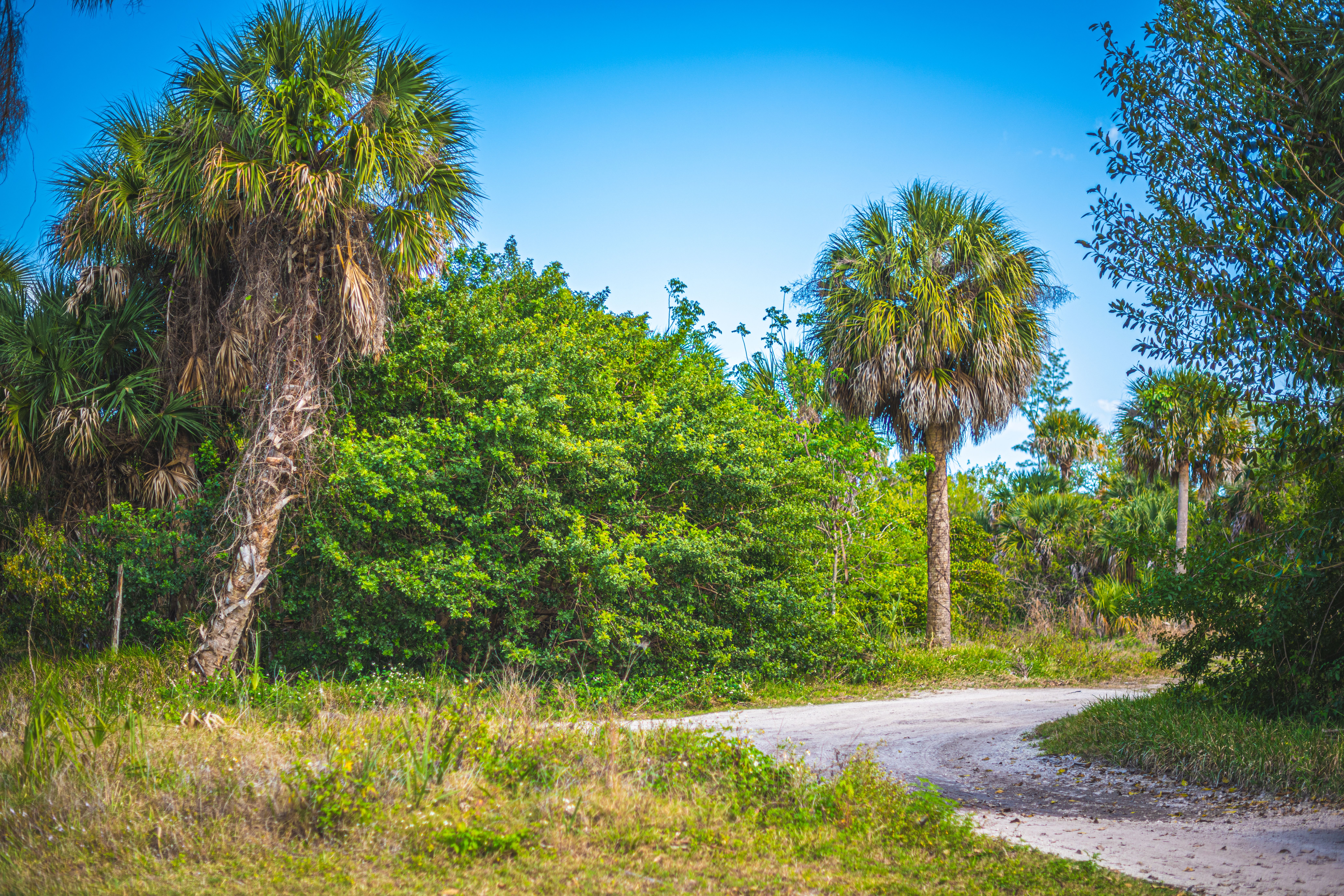 2437 Yount Drive Merritt Island FL 32952