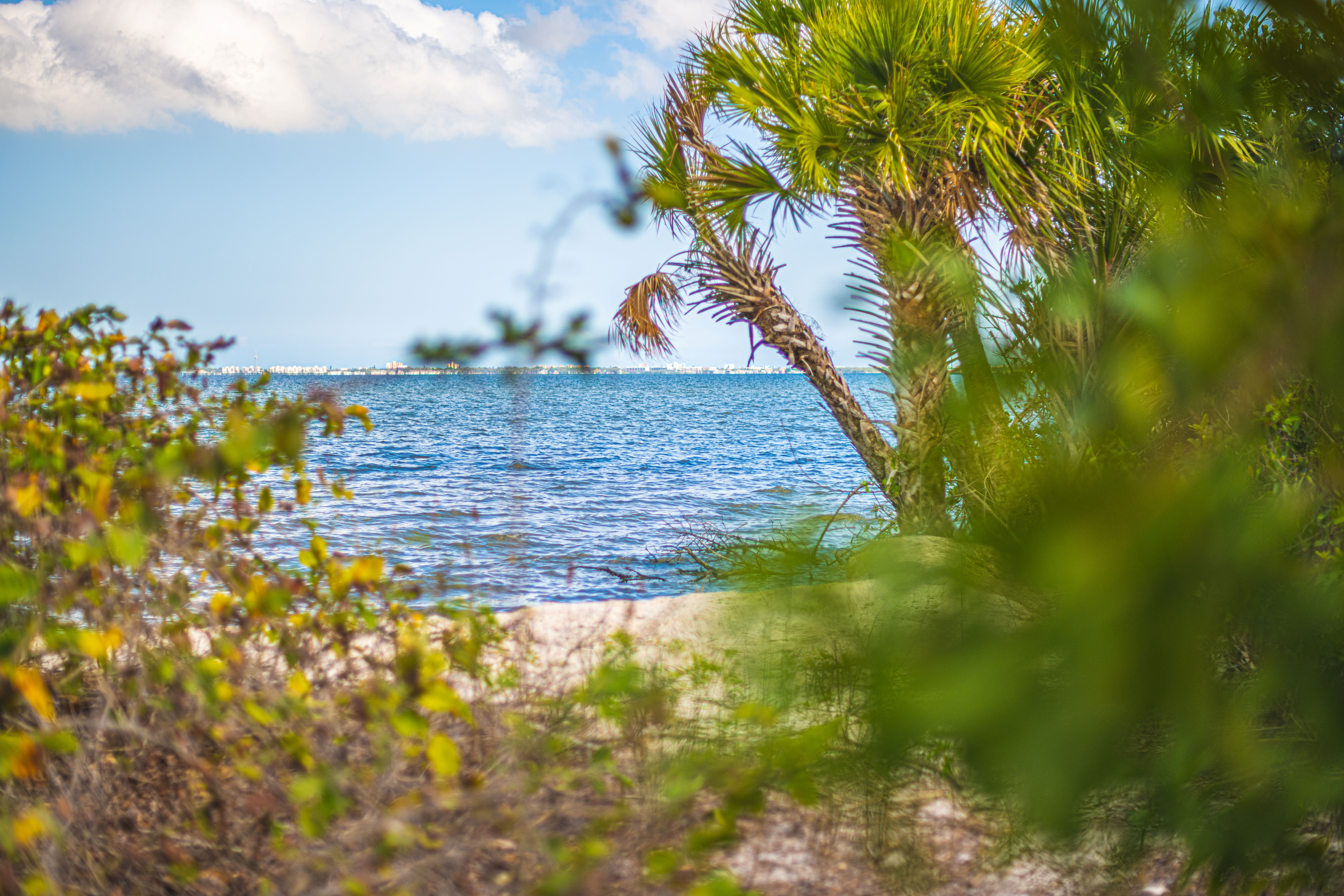 2437 Yount Drive Merritt Island FL 32952
