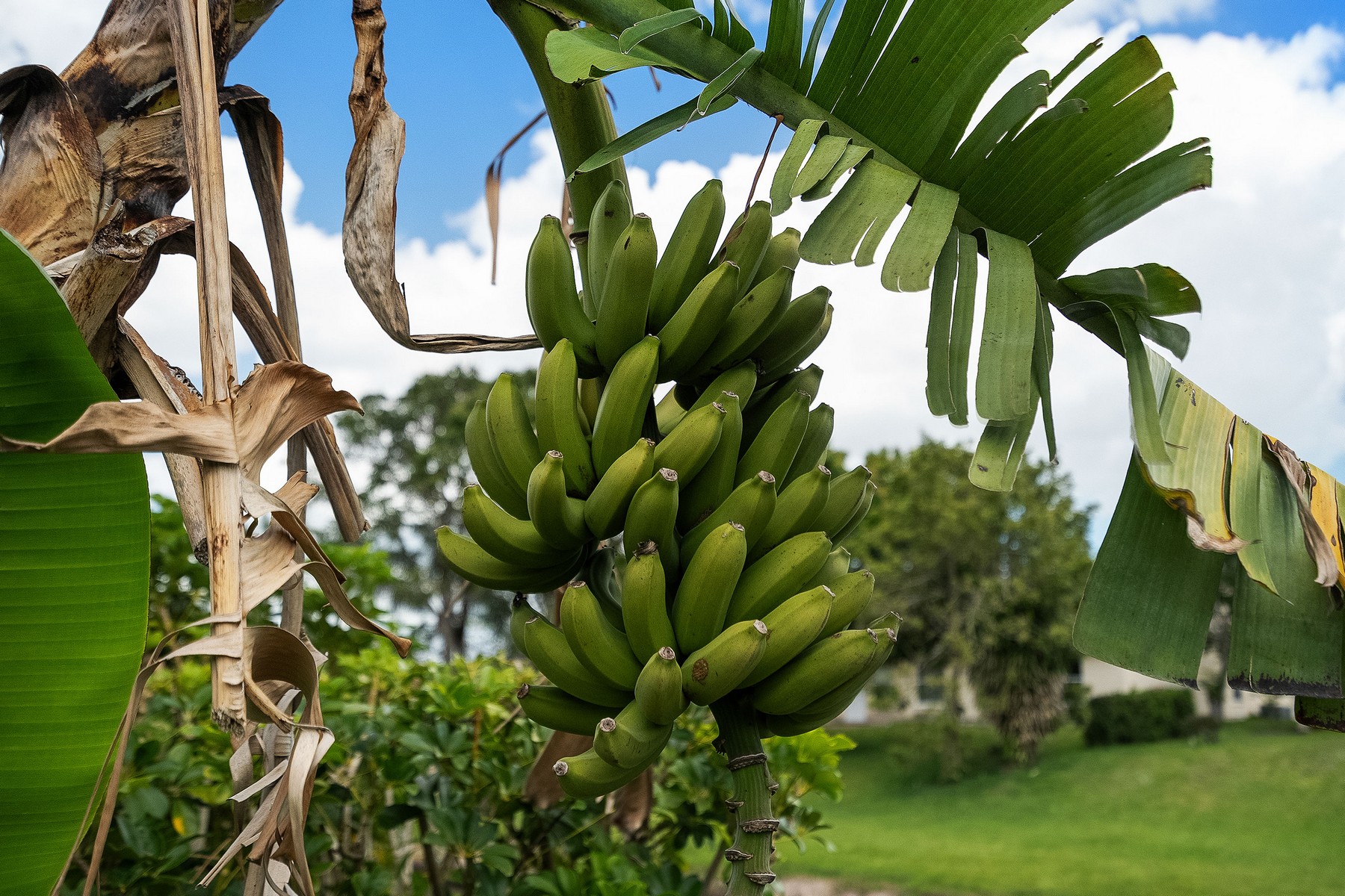 3079 SE Galt Circle Port St Lucie FL 34984