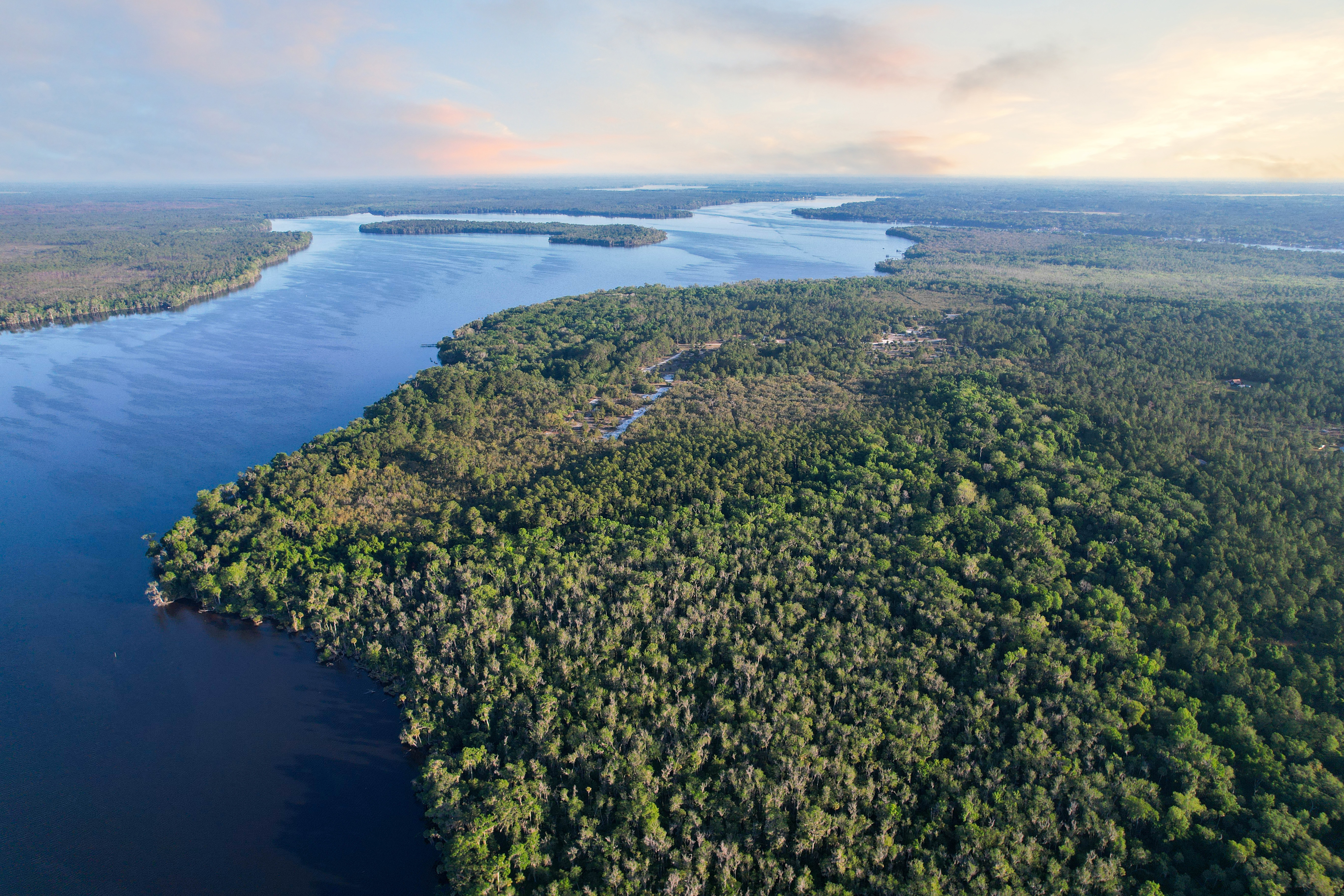 356 Drayton Island Road Georgetown FL 32139