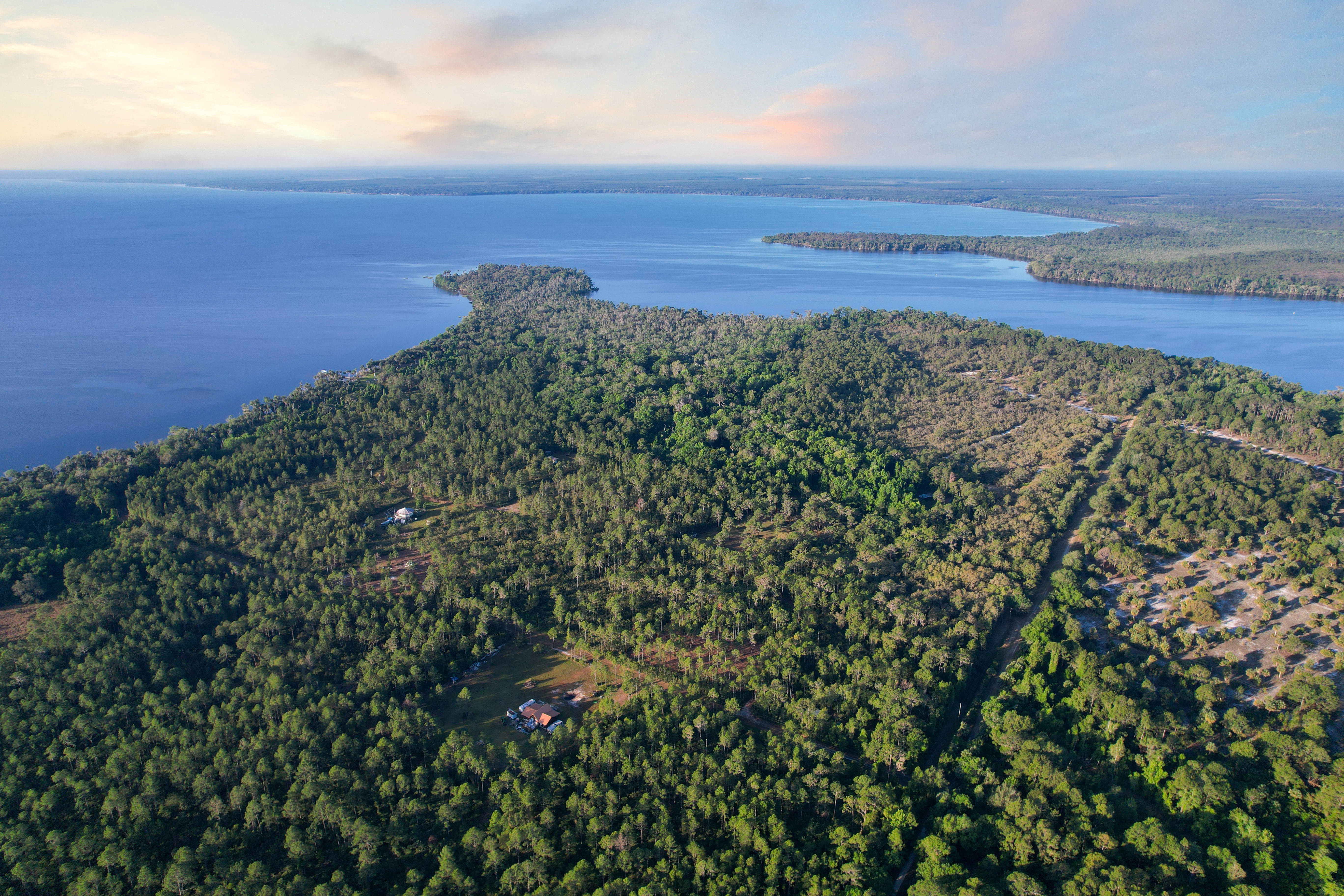 356 Drayton Island Road Georgetown FL 32139