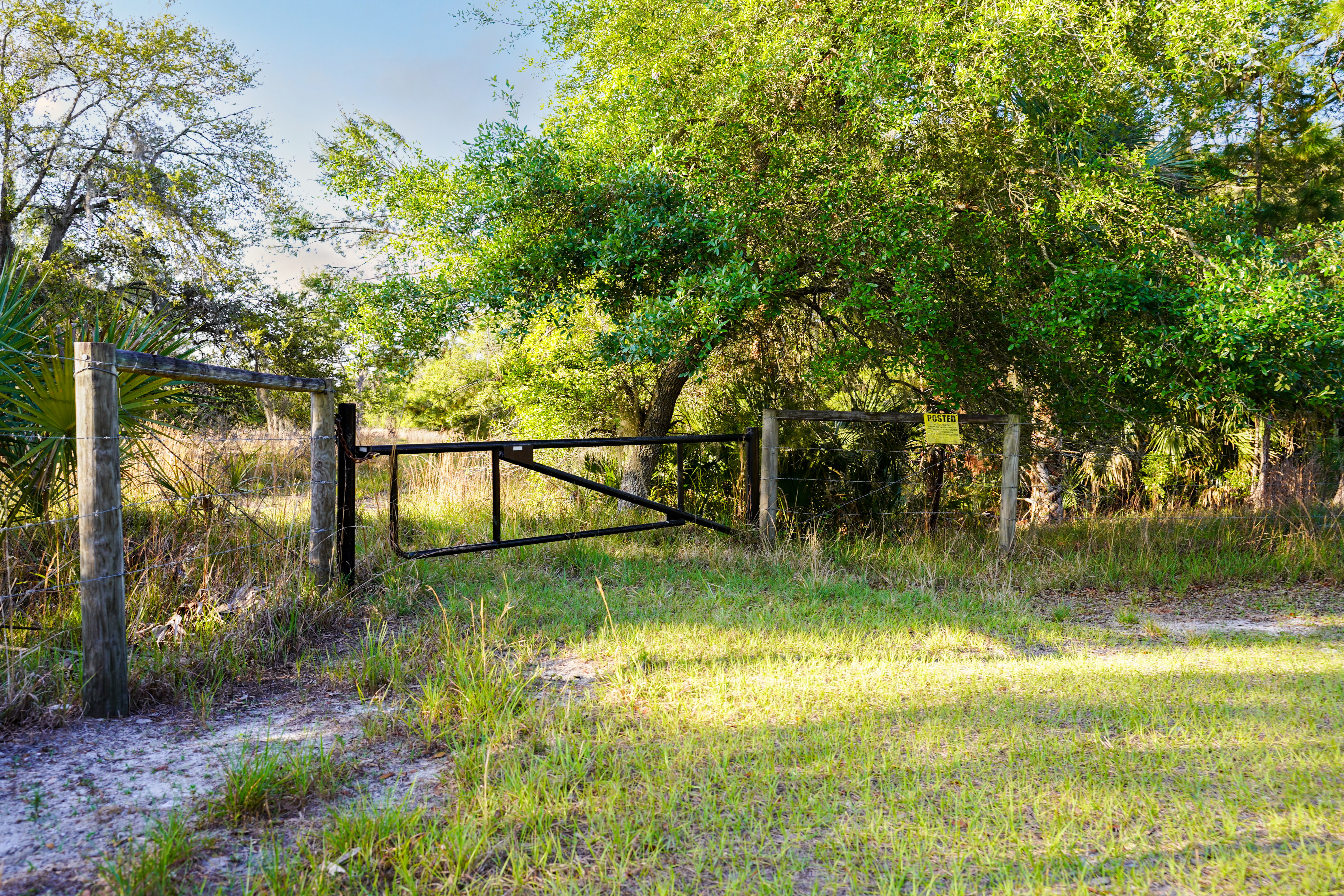 356 Drayton Island Road Georgetown FL 32139