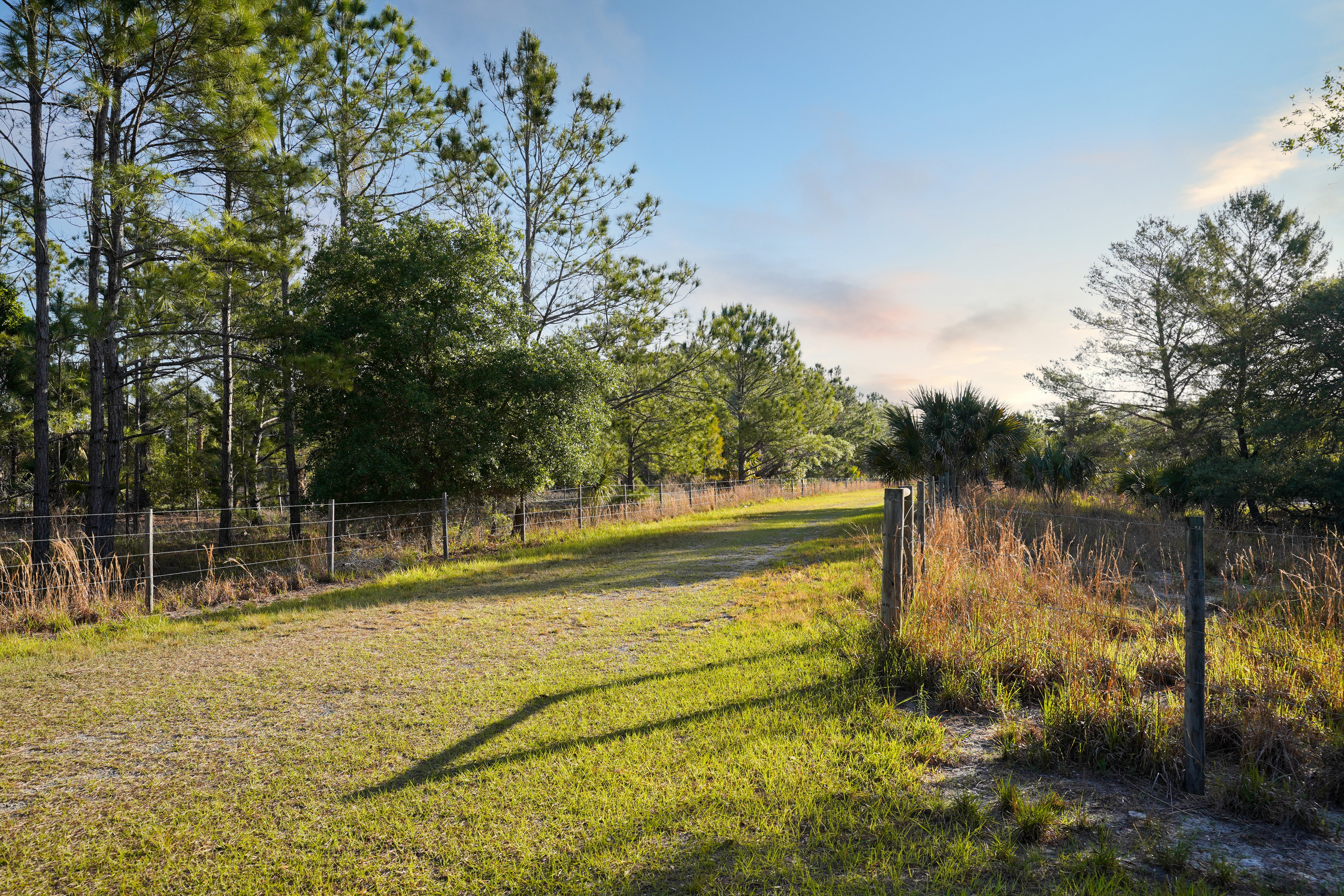 356 Drayton Island Road Georgetown FL 32139