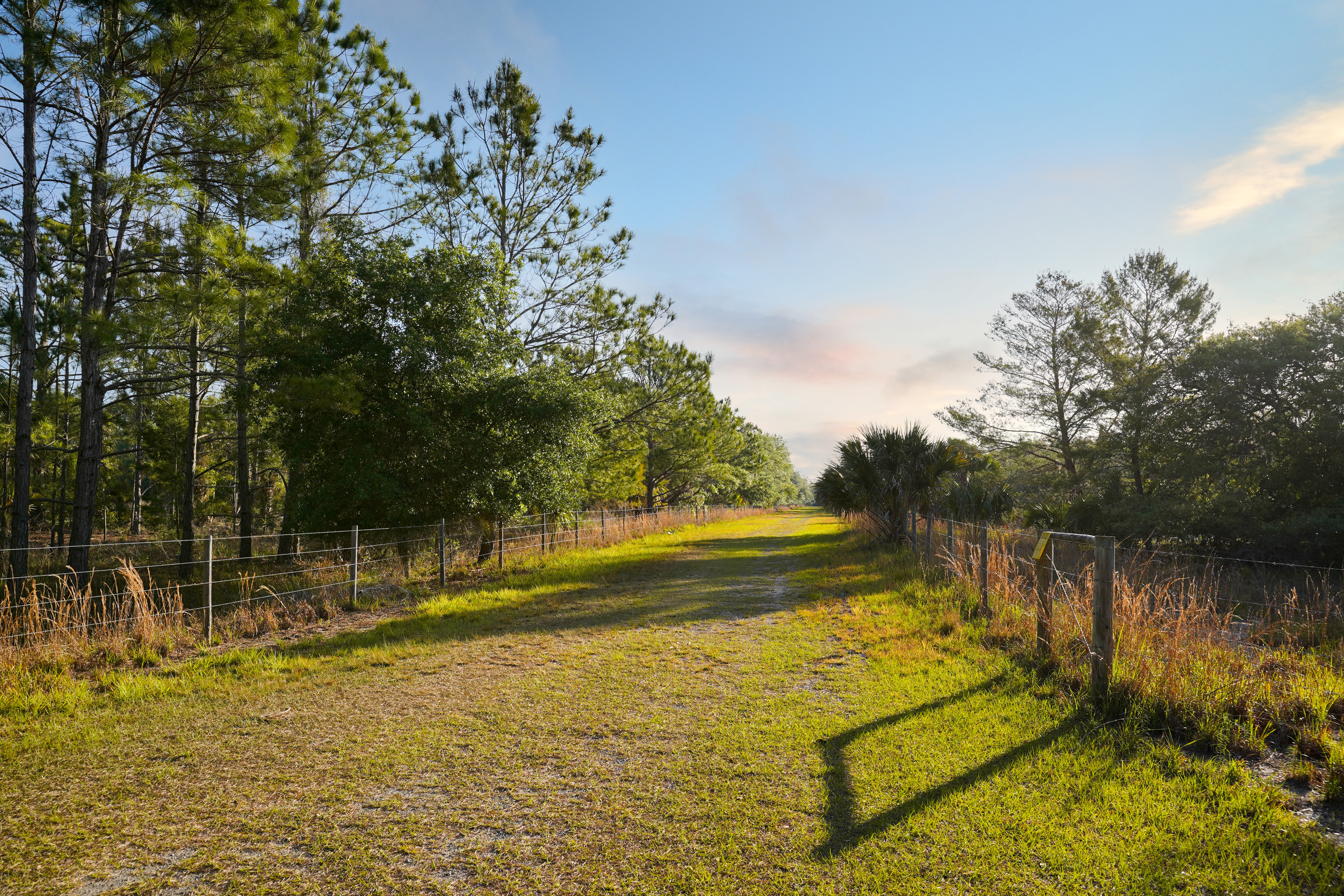 356 Drayton Island Road Georgetown FL 32139