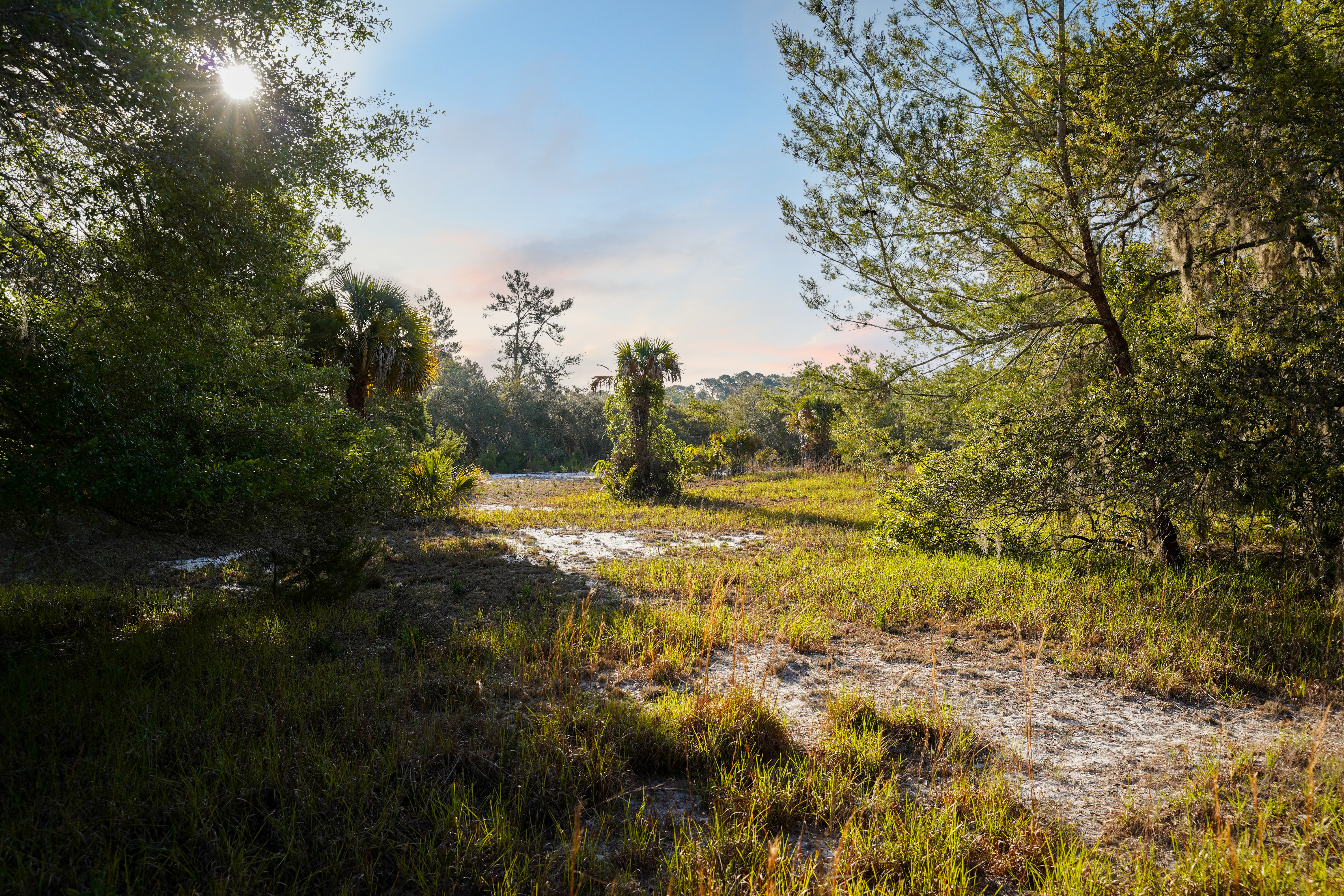 356 Drayton Island Road Georgetown FL 32139