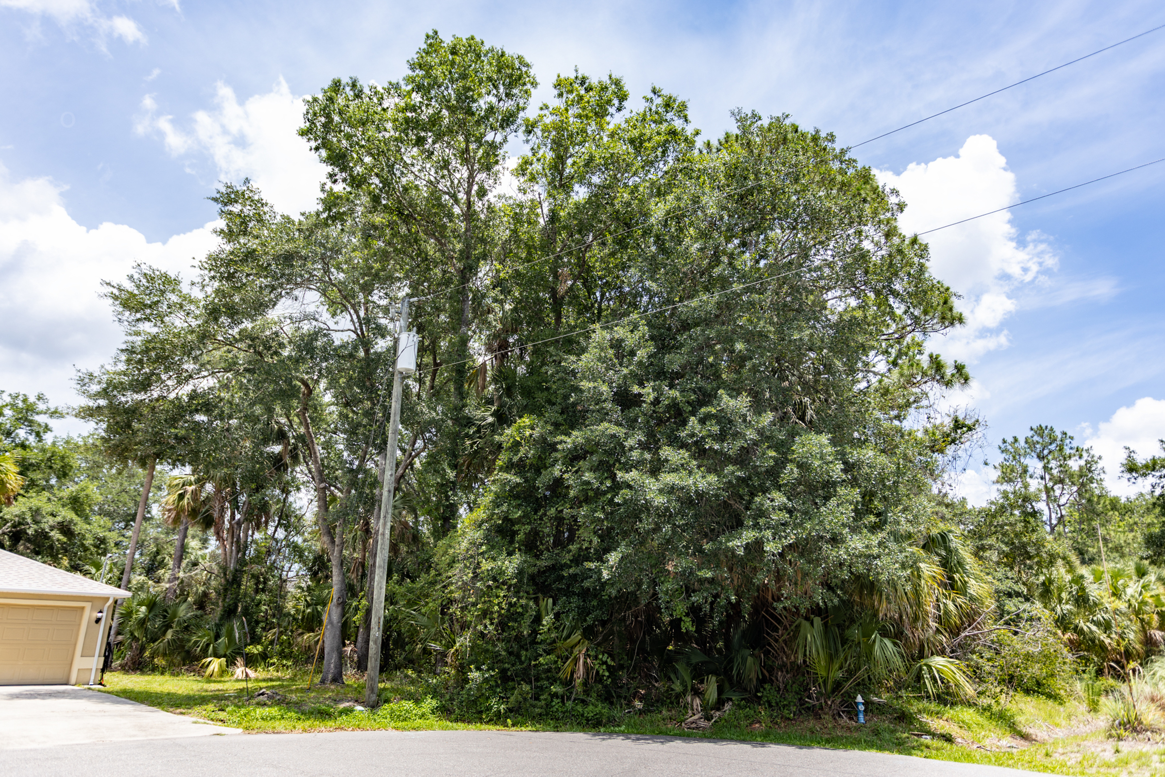 16 White Hawk Place Palm Coast FL 32164