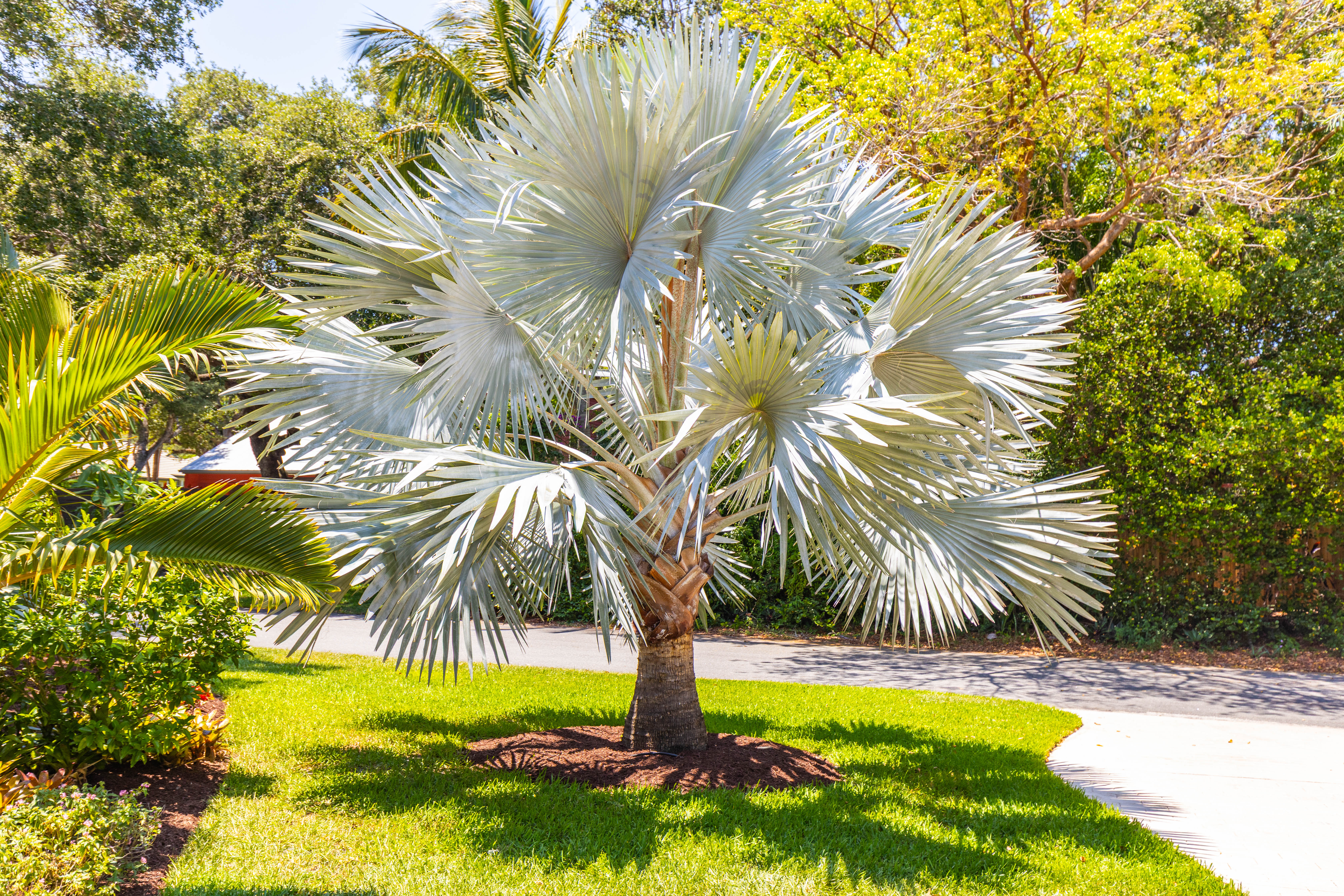 8 Kingston Court Stuart FL 34996