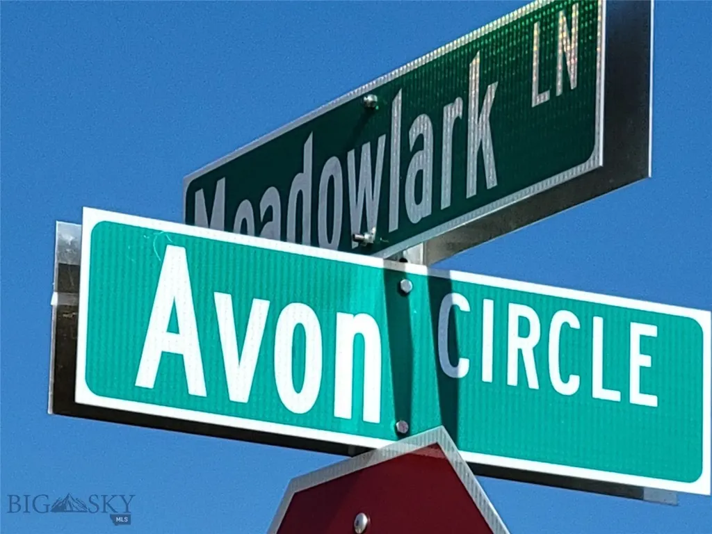 Lot #31 Avon Circle Butte MT 59701-3286