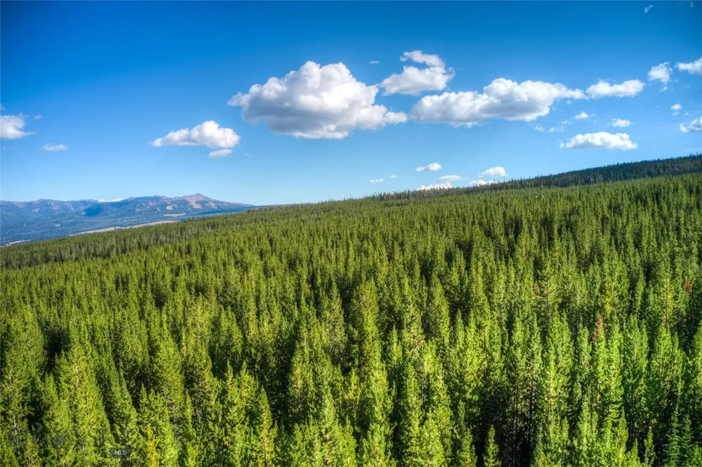 Tbd Beaver Creek West Road Big Sky MT 59716