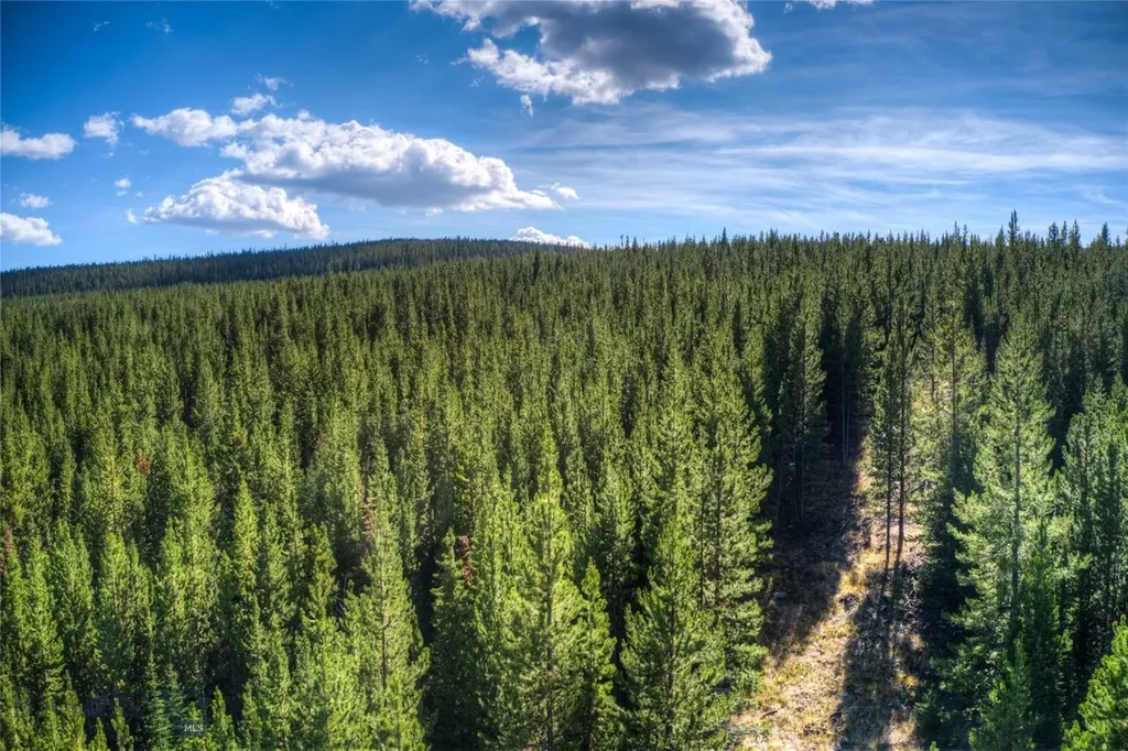 Tbd Beaver Creek West Road Big Sky MT 59716