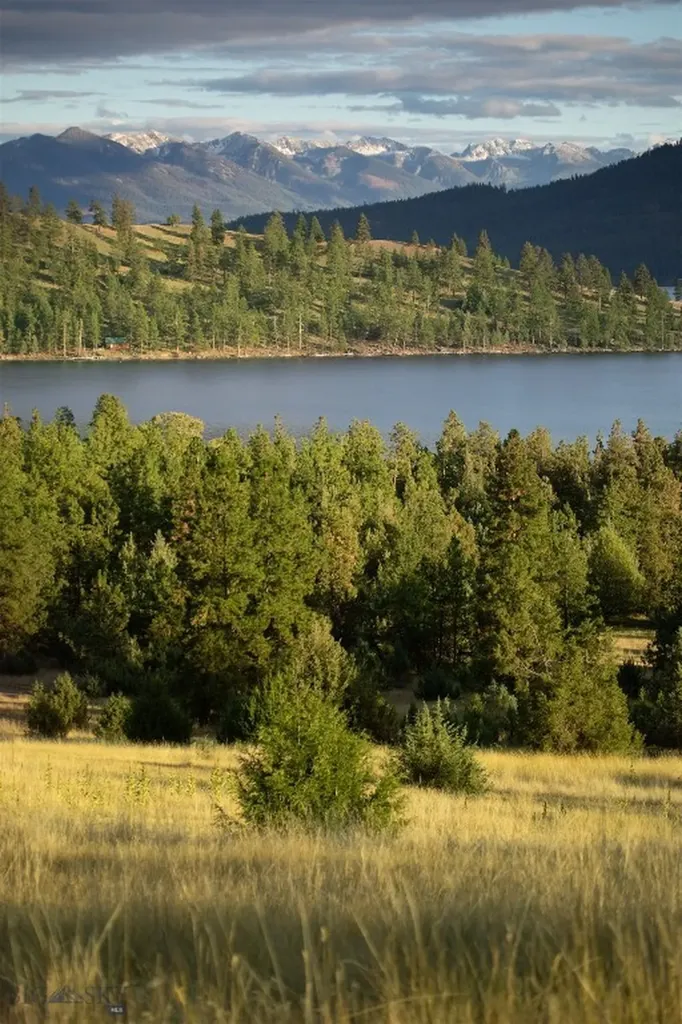 Dayton MT 59914