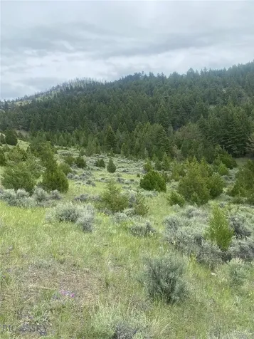 276 Lone Wolf Trail Clarkston MT 59752