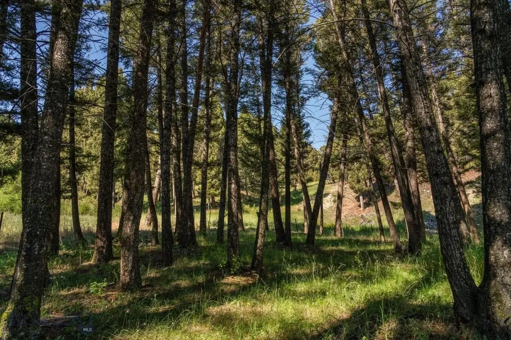 337 Echo Valley Campground Road Avon MT 59713