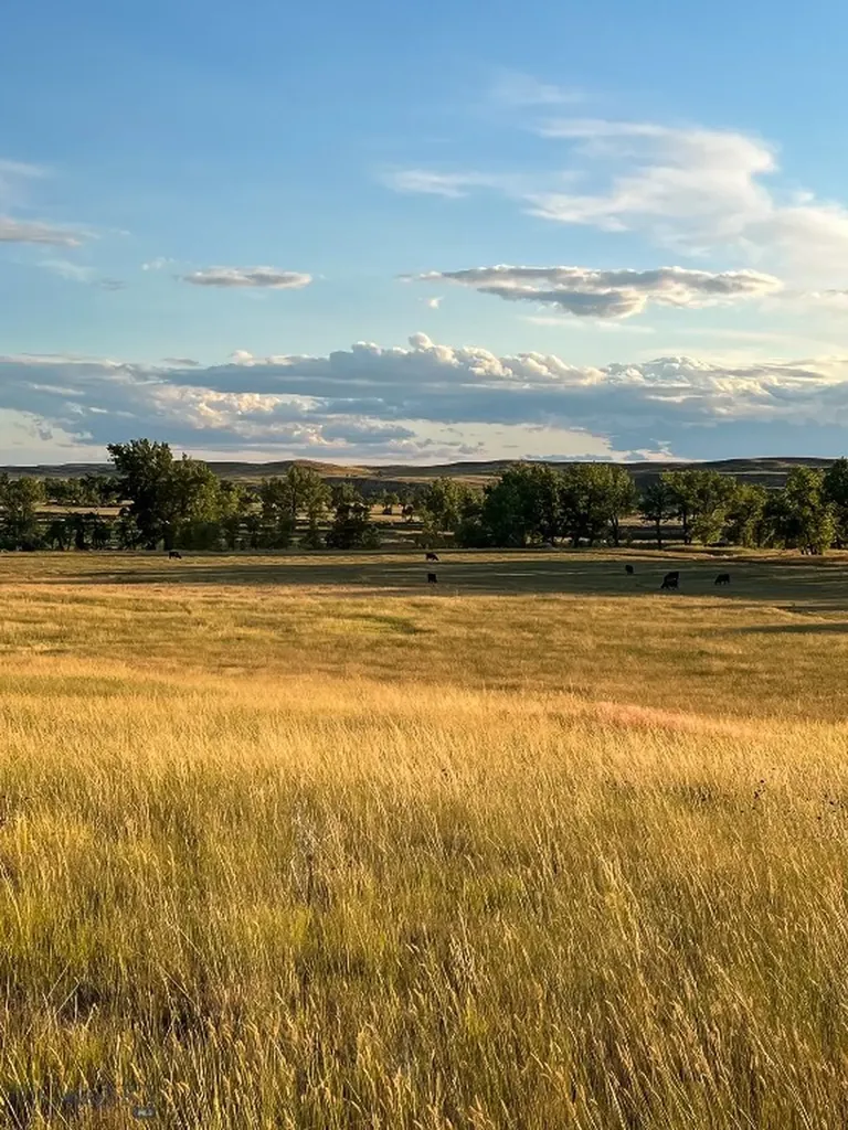 1 Elevator Drive Miles City MT 59336
