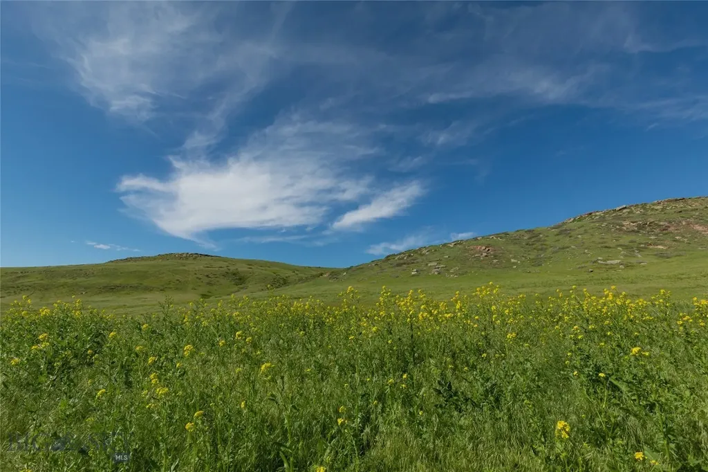 653 Millegan Road Great Falls MT 59405