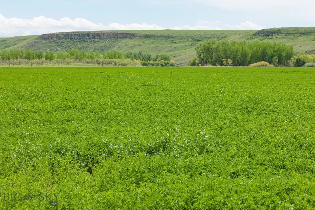 653 Millegan Road Great Falls MT 59405