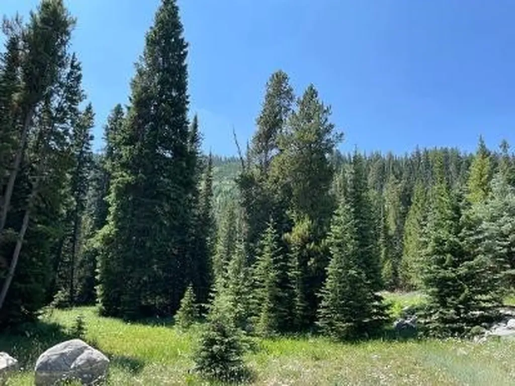28 Low Dog Road Big Sky MT 59716