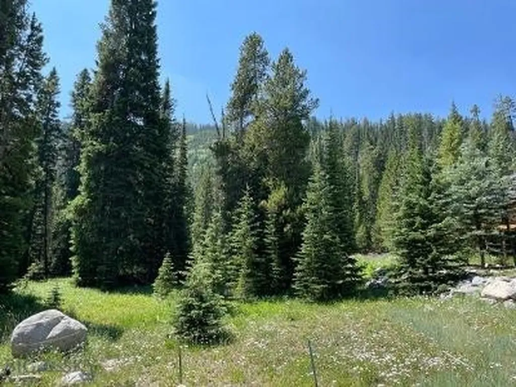 28 Low Dog Road Big Sky MT 59716