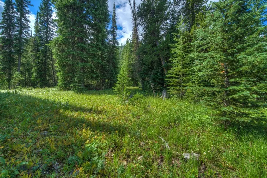 28 Low Dog Road Big Sky MT 59716