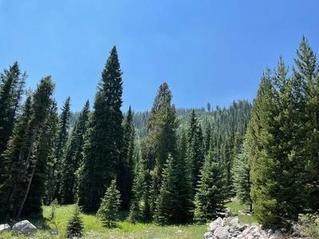 28 Low Dog Road Big Sky MT 59716