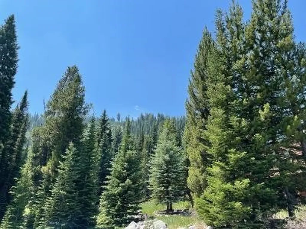 28 Low Dog Road Big Sky MT 59716