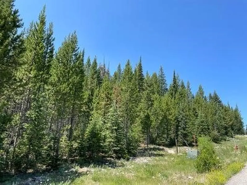 28 Low Dog Road Big Sky MT 59716