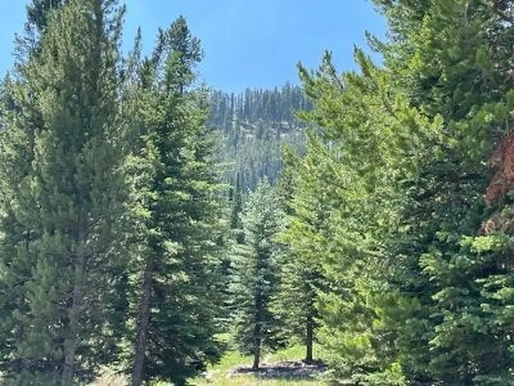 28 Low Dog Road Big Sky MT 59716