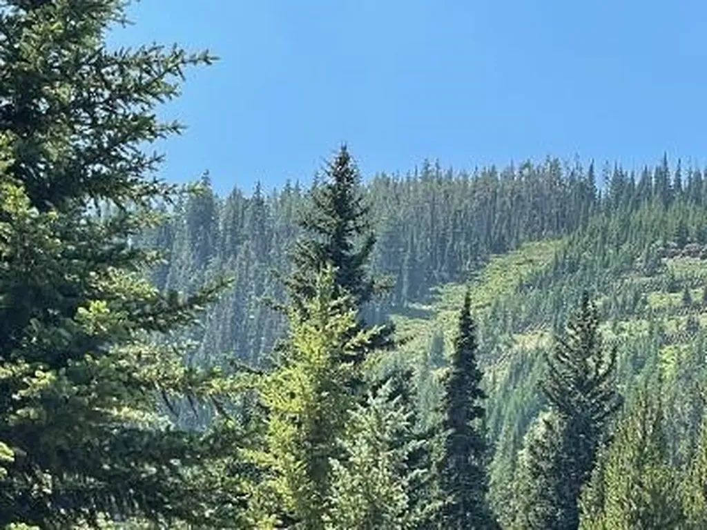 28 Low Dog Road Big Sky MT 59716