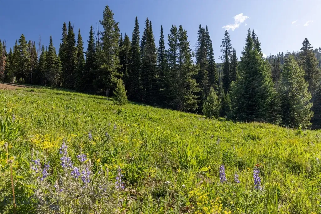 Tbd Cheyenne Road Big Sky MT 59716