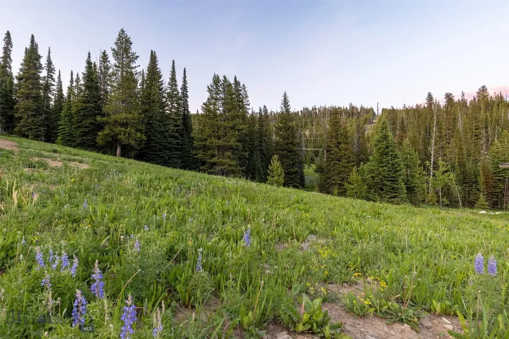 Tbd Cheyenne Road Big Sky MT 59716