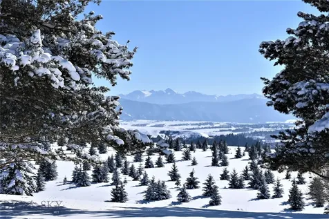 466 Longhorn Road Bozeman MT 59715