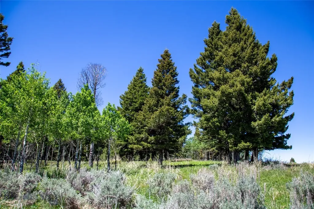Lot 38 Sun West Ranch Cameron MT 59720