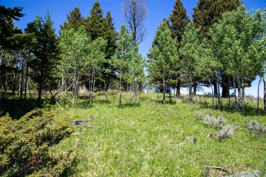 Lot 38 Sun West Ranch Cameron MT 59720