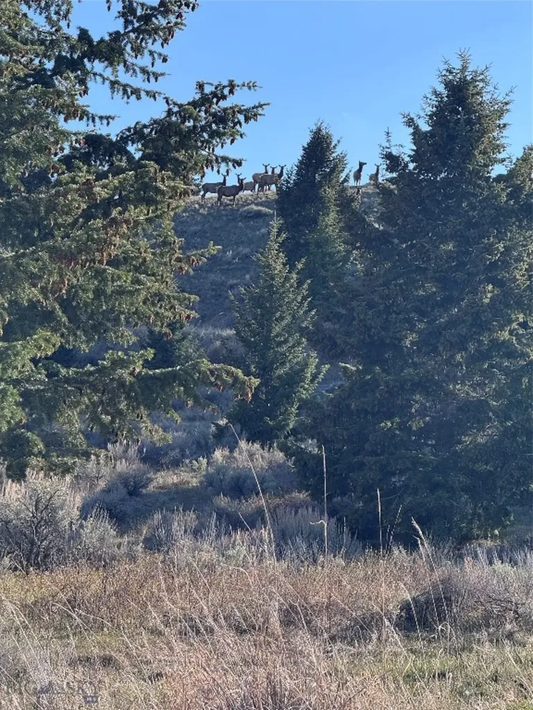 Lot 38 Sun West Ranch Cameron MT 59720
