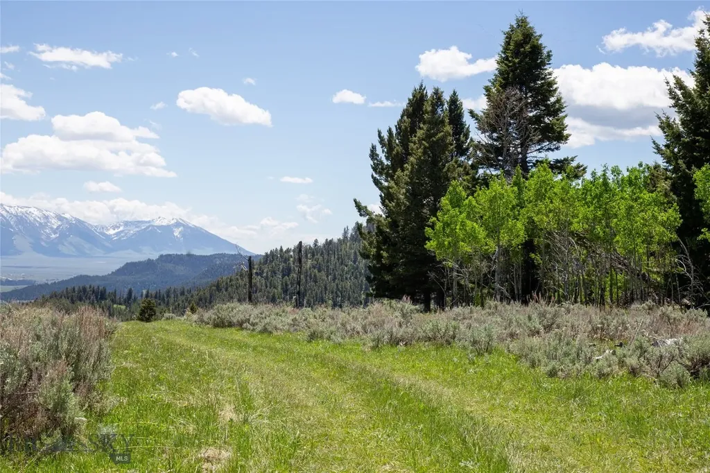 Lot 38 Sun West Ranch Cameron MT 59720