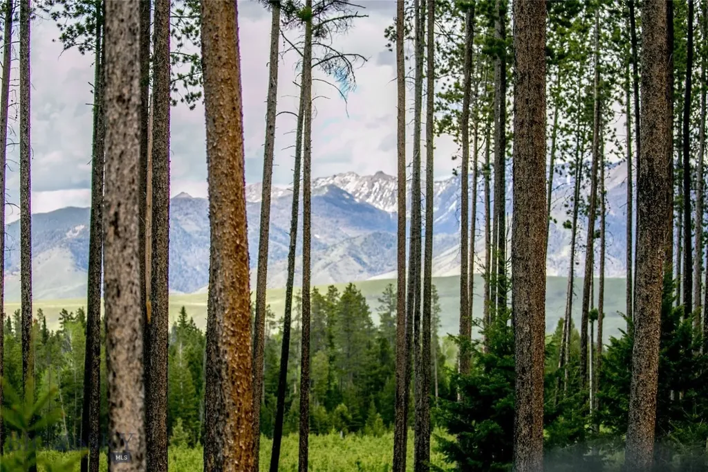 Lot 38 Sun West Ranch Cameron MT 59720