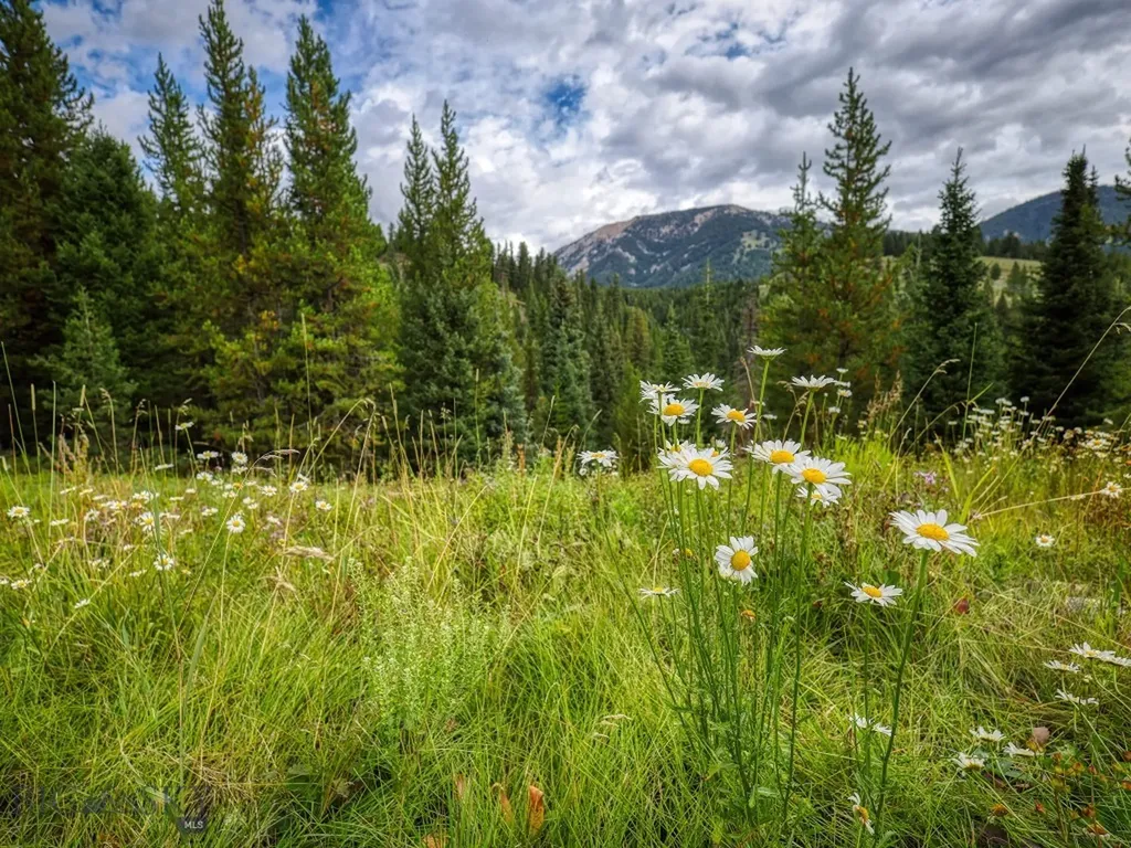 Lot 7 Autumn Trail Big Sky MT 59716